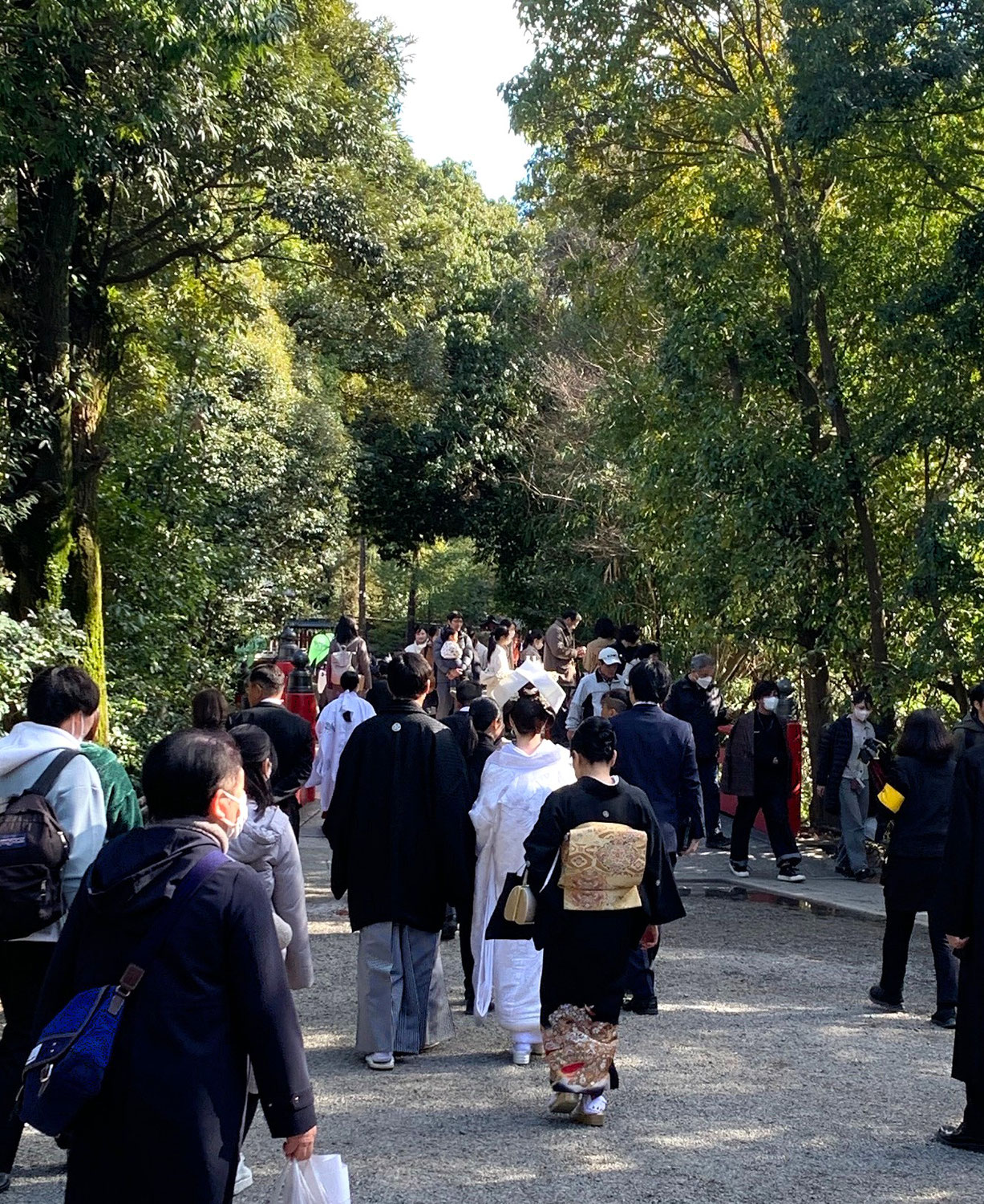 地球の大自然からSOSを受ける！