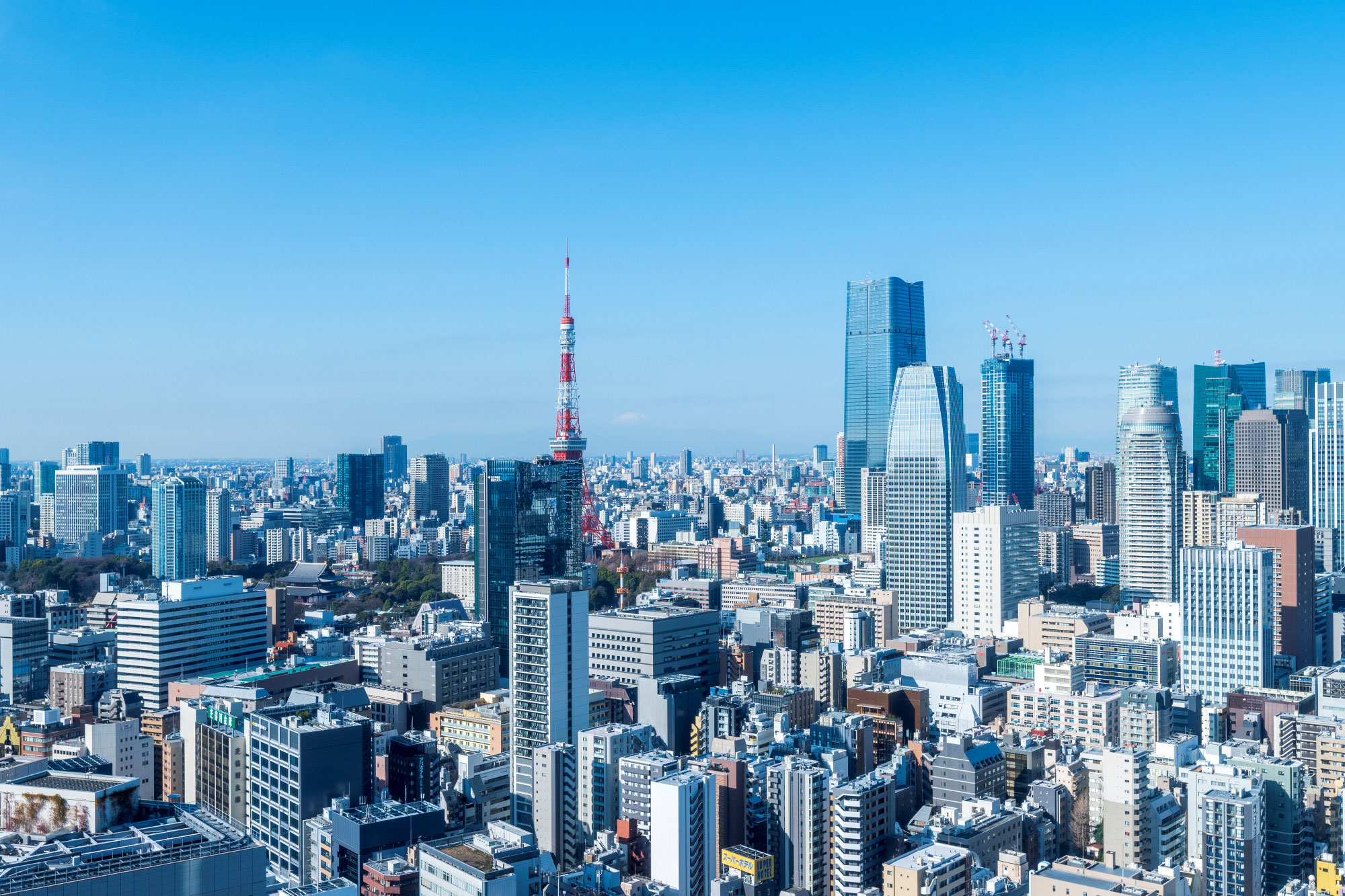 当事務所のホームページが掲載されました！