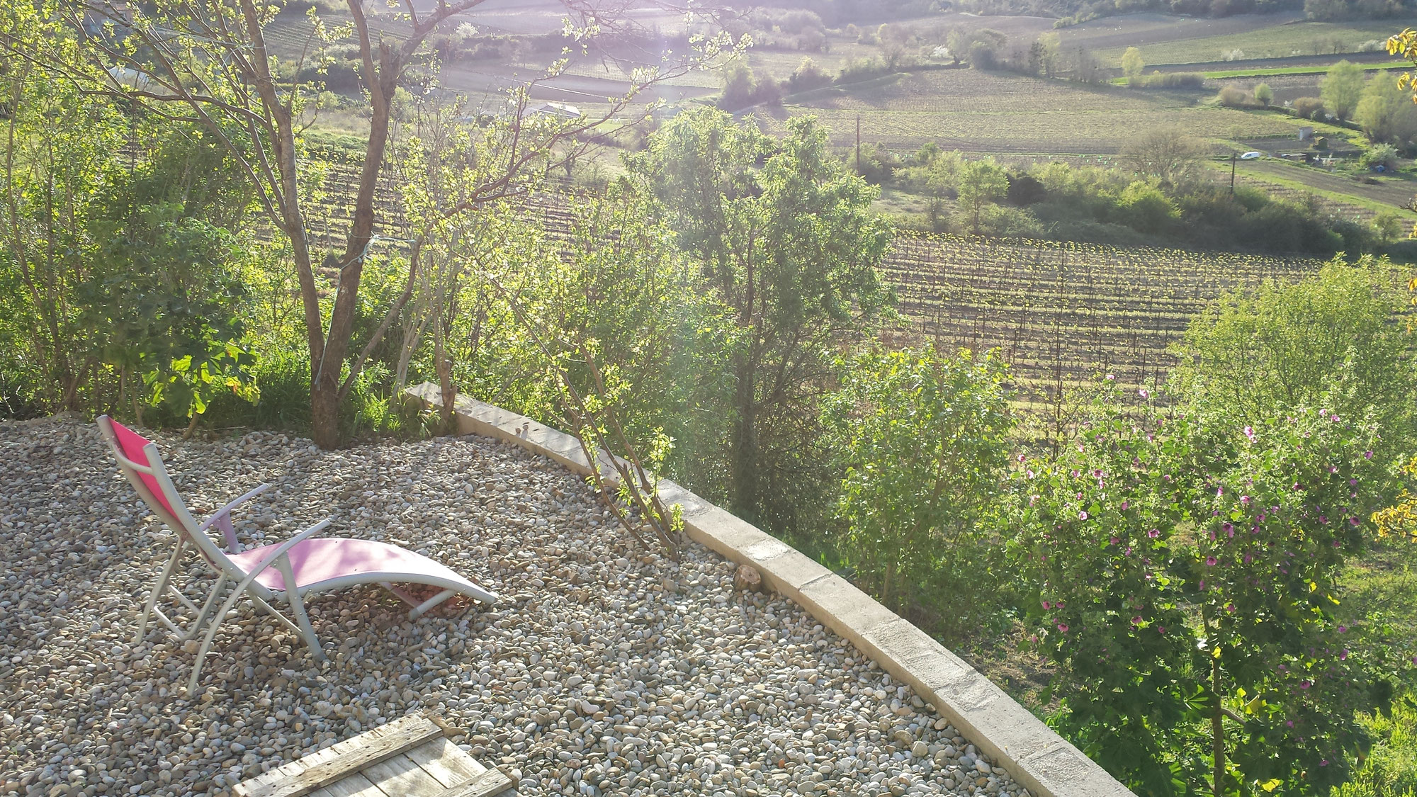 Farniente ou découverte ou gastronomie dans notre Maison d'Hôtes, près de Limoux