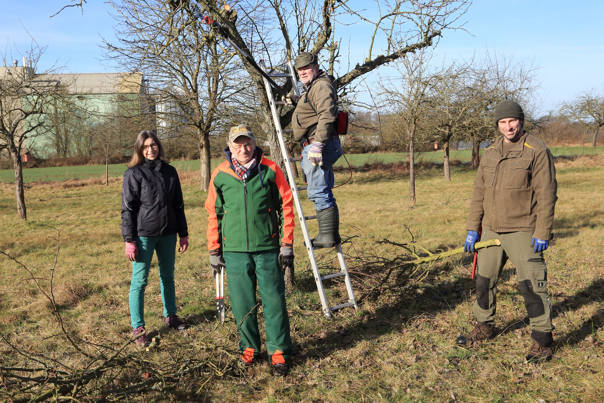 Obstbaumschnitt auf der Streuobstwiese