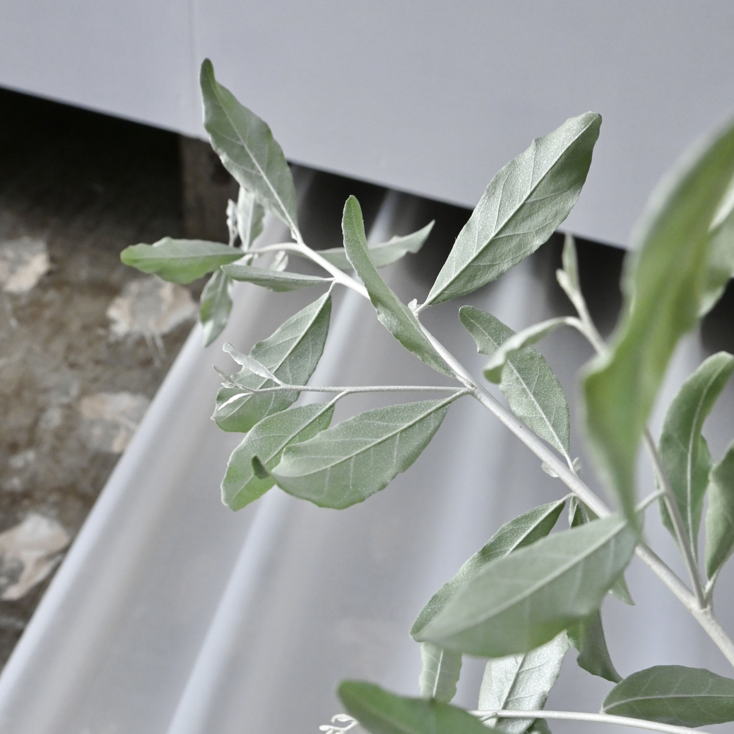 夏期休暇のおしらせです