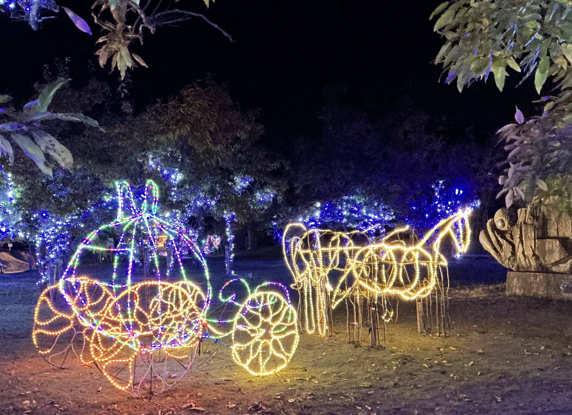 今年も開催！中山池自然公園イルミネーション