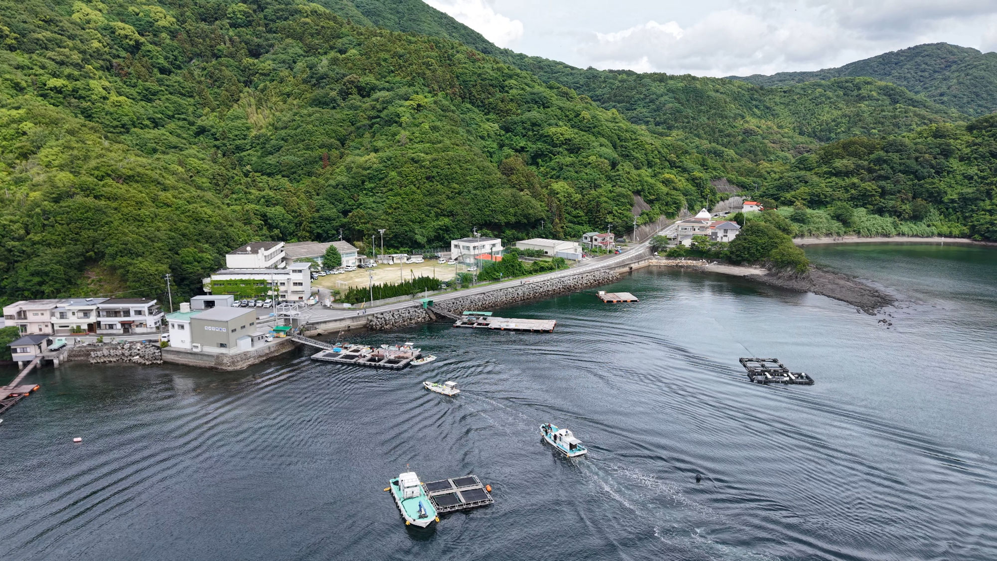 第12回小池海岸藻場づくり活動開催