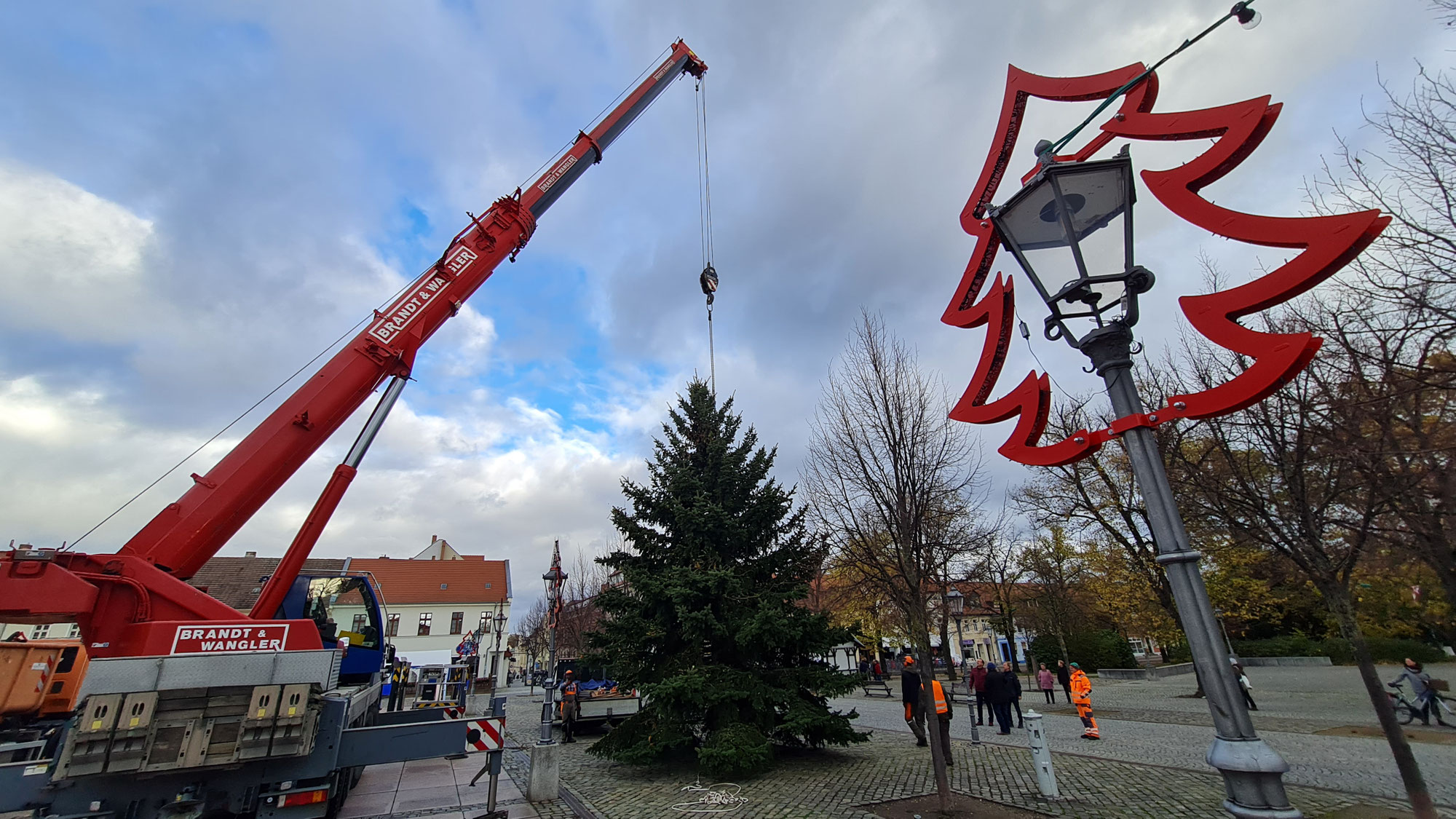 Der Baum für den Bernburger Weihnachtsmarkt kommt aus Neuborna