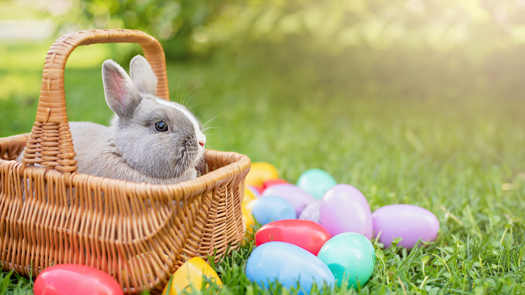 Das Wetter zu Ostern