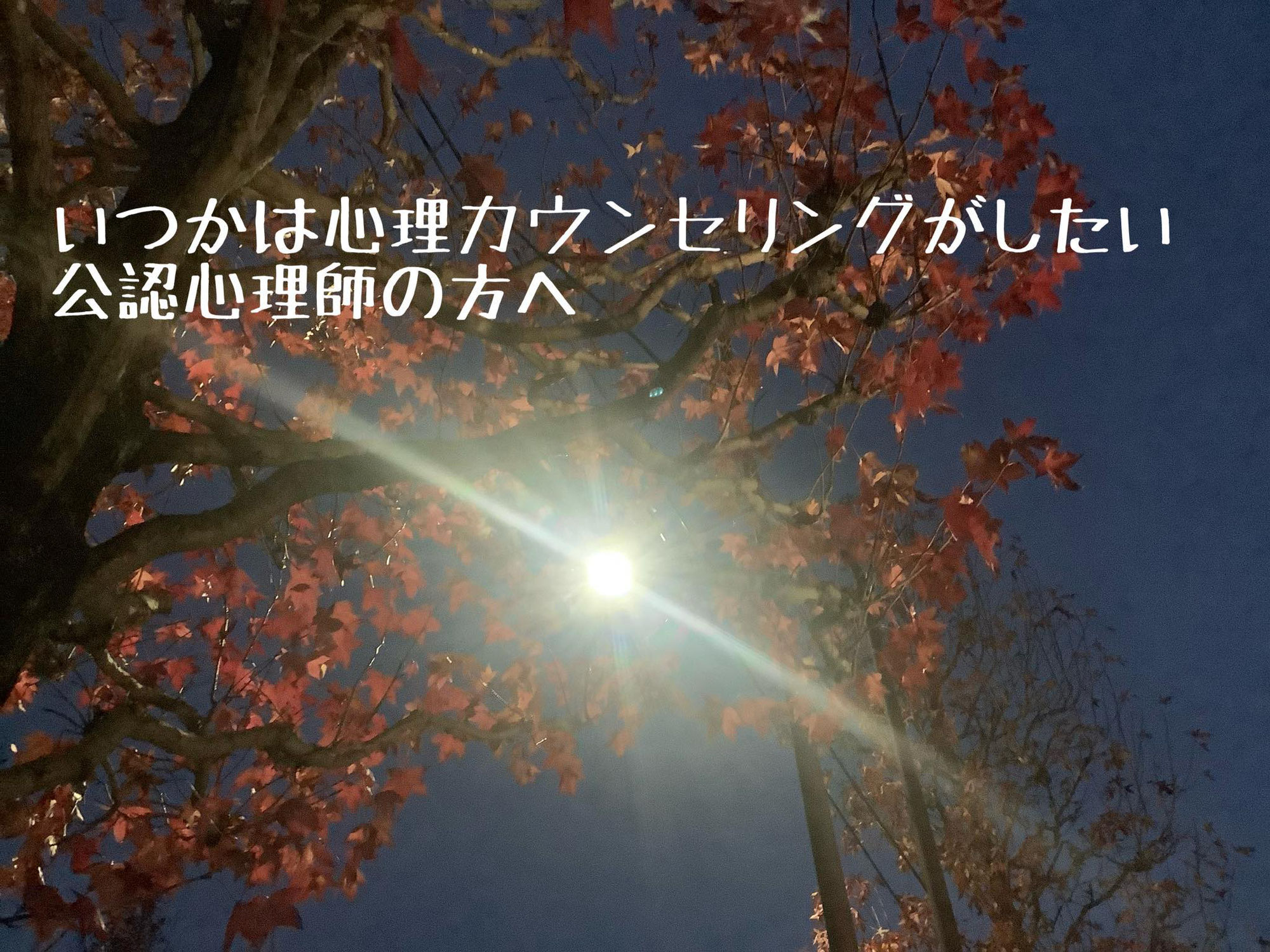 いつかは心理カウンセリングがしたい公認心理師の方へ