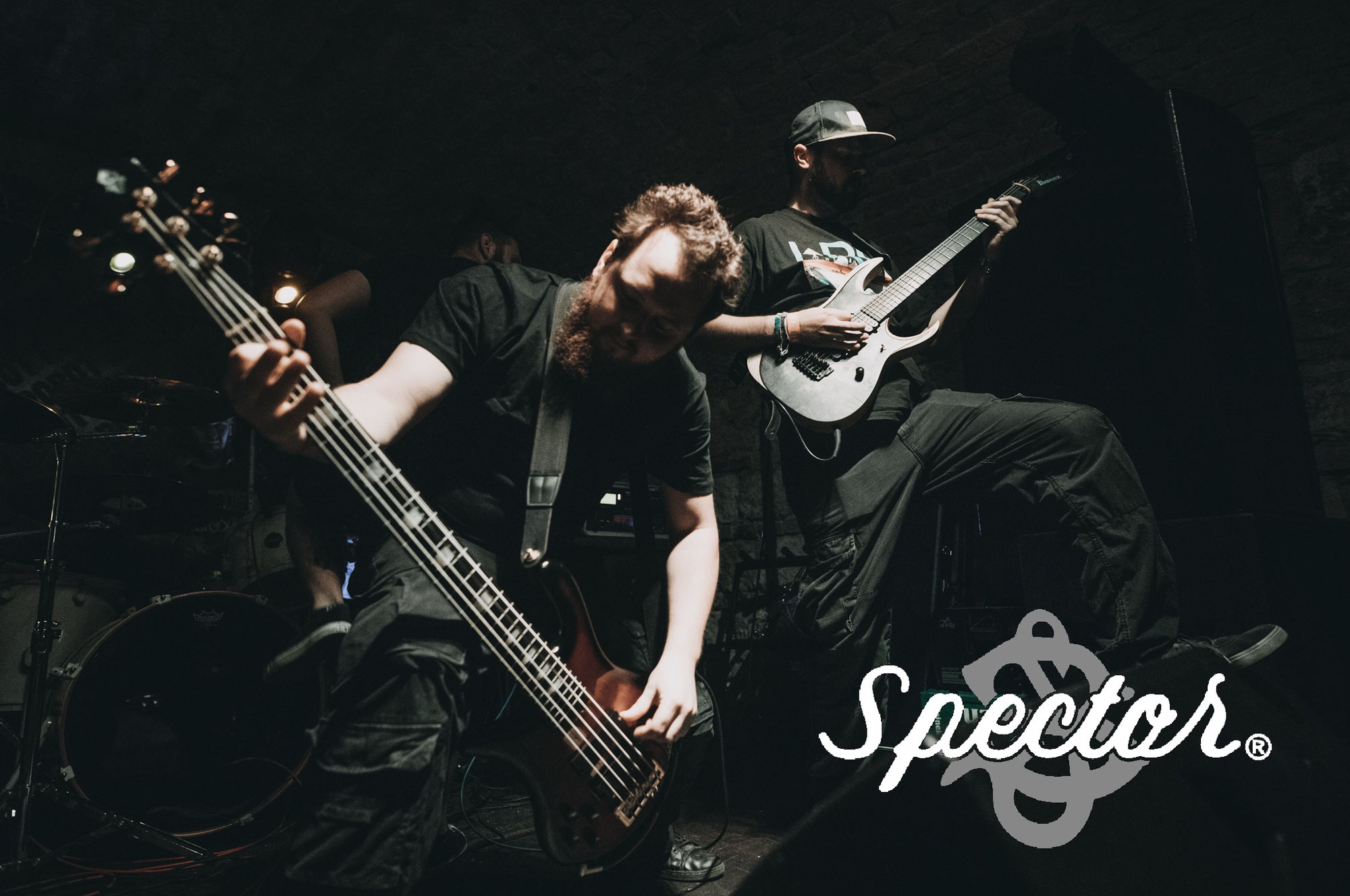 Lukas Rappitsch officially endorsed by Spector Basses