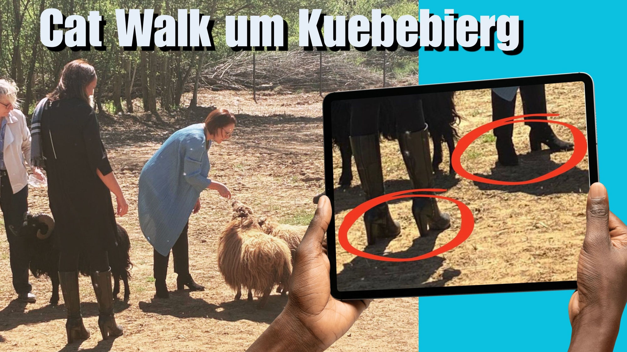 Cat Walk um Kuebebierg
