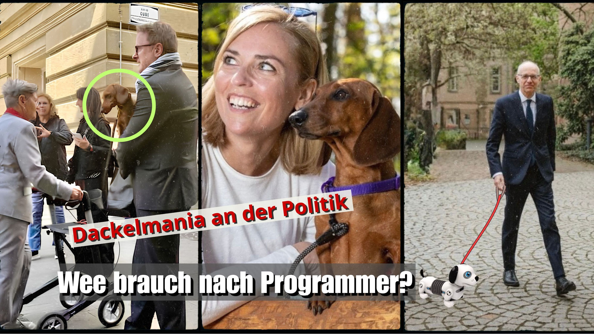 Dackelmania an der Politik