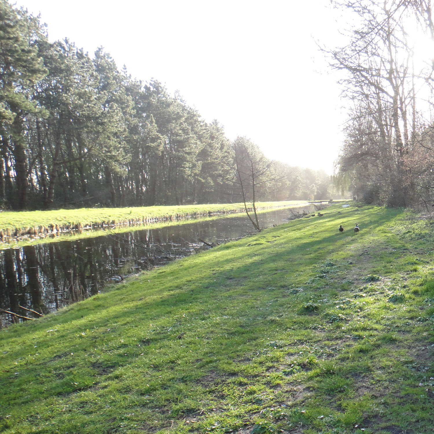 Foto: www.parkbloemendaal.nl Foto: www.parkbloemendaal.nl