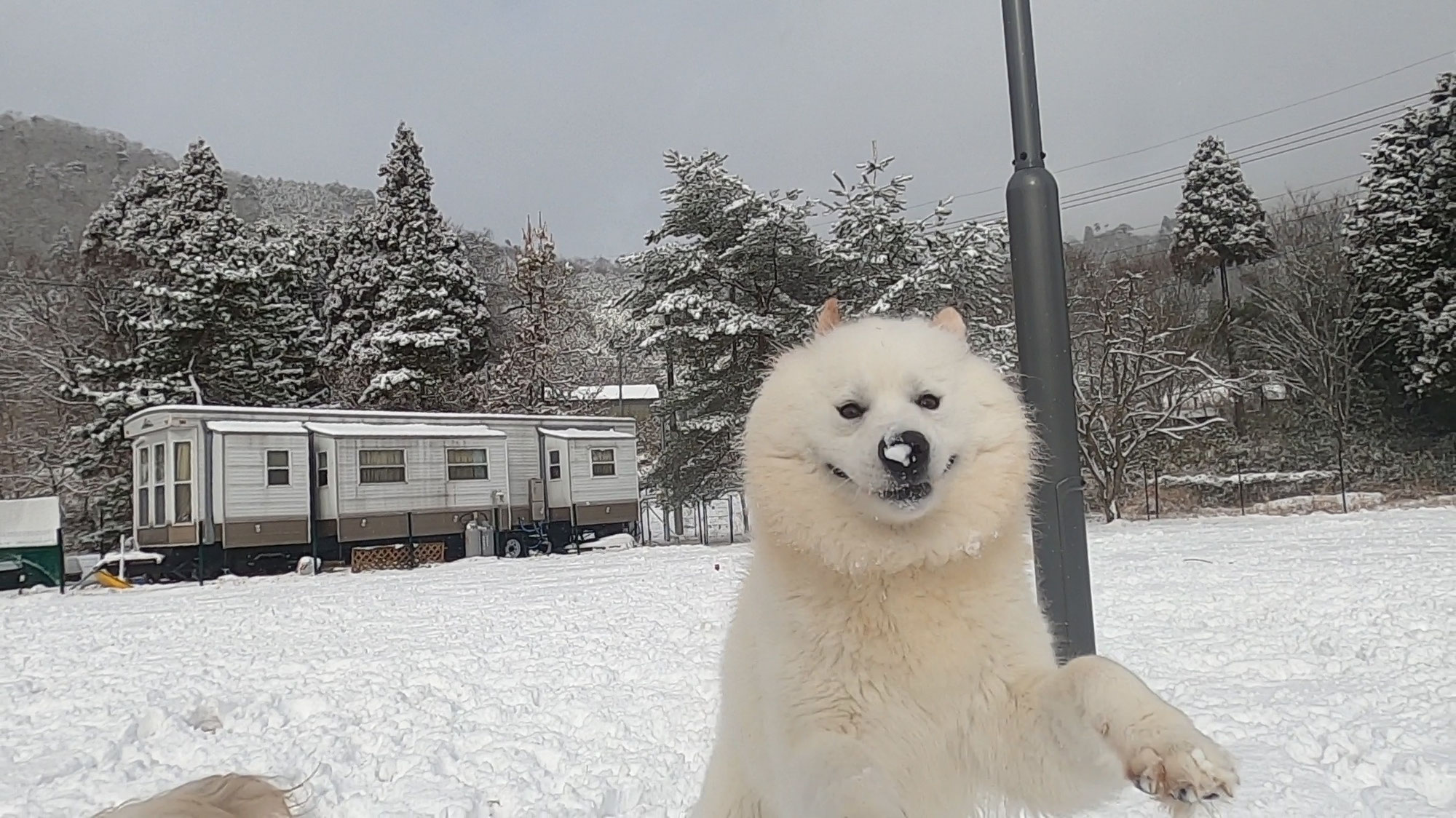 初雪で遊びました
