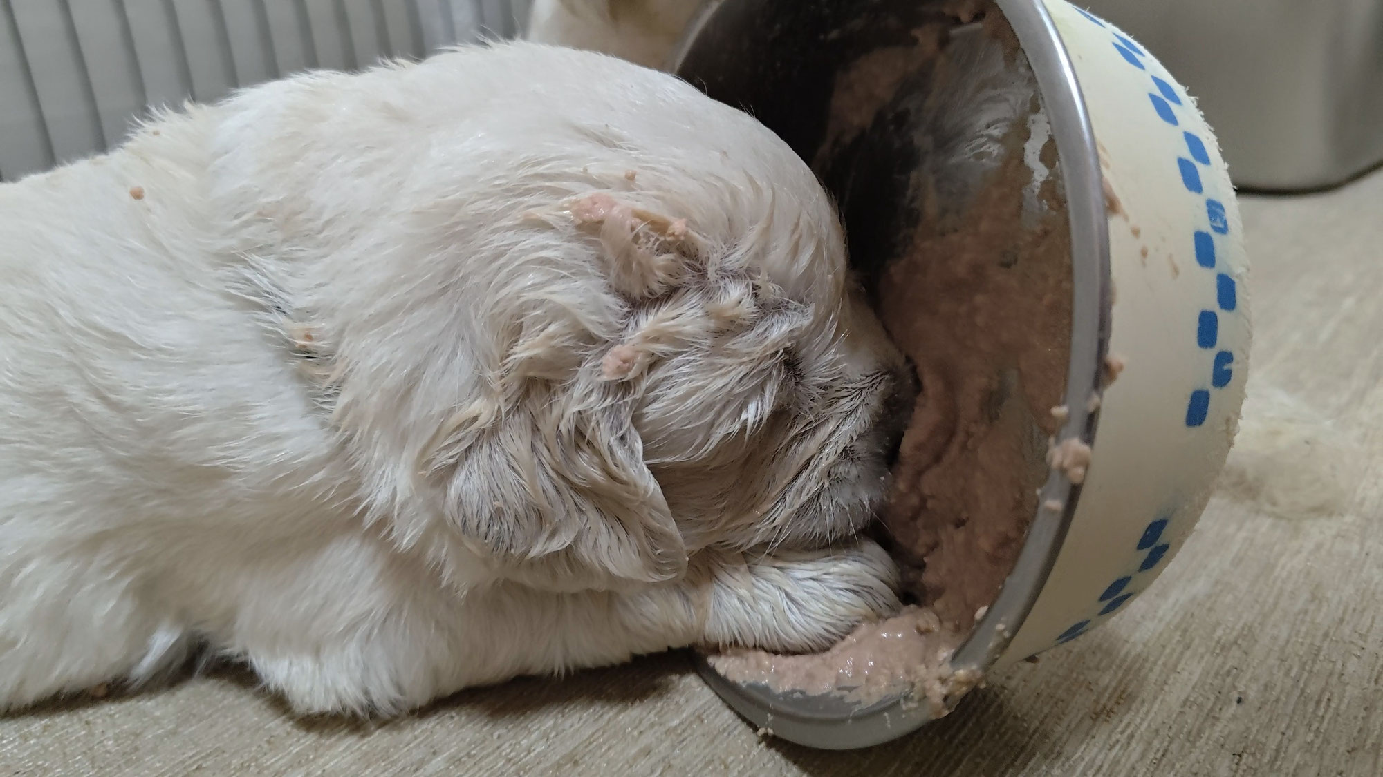 離乳食始めました