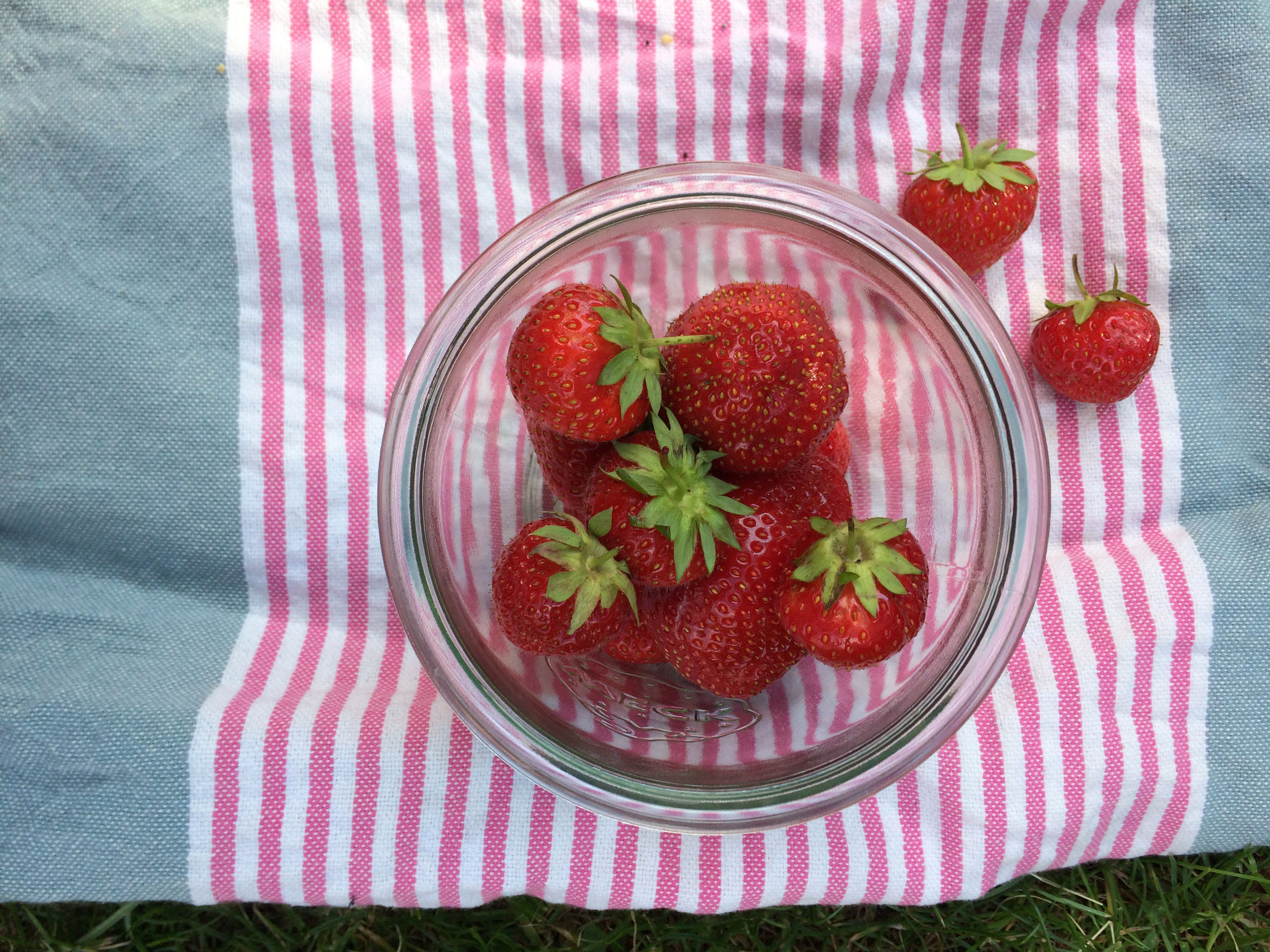 10 Tipps: Abfallfreies Picknick
