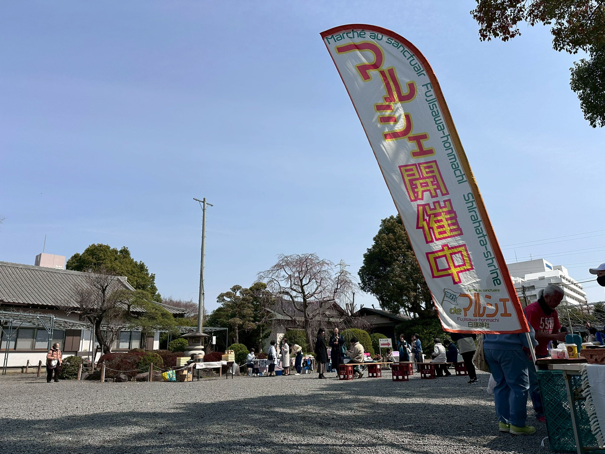 第15回実施報告⭐︎