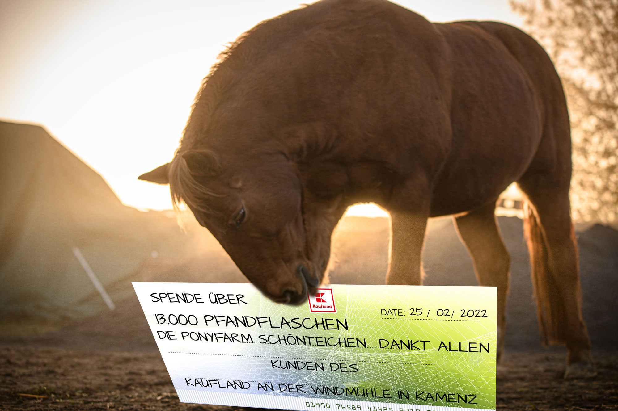 Besuch auf dem Ponyhof und Danke an alle Spender