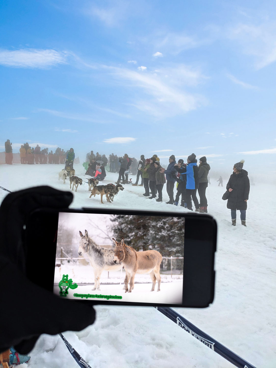 Teamponyfarm Unterwegs im Schnee