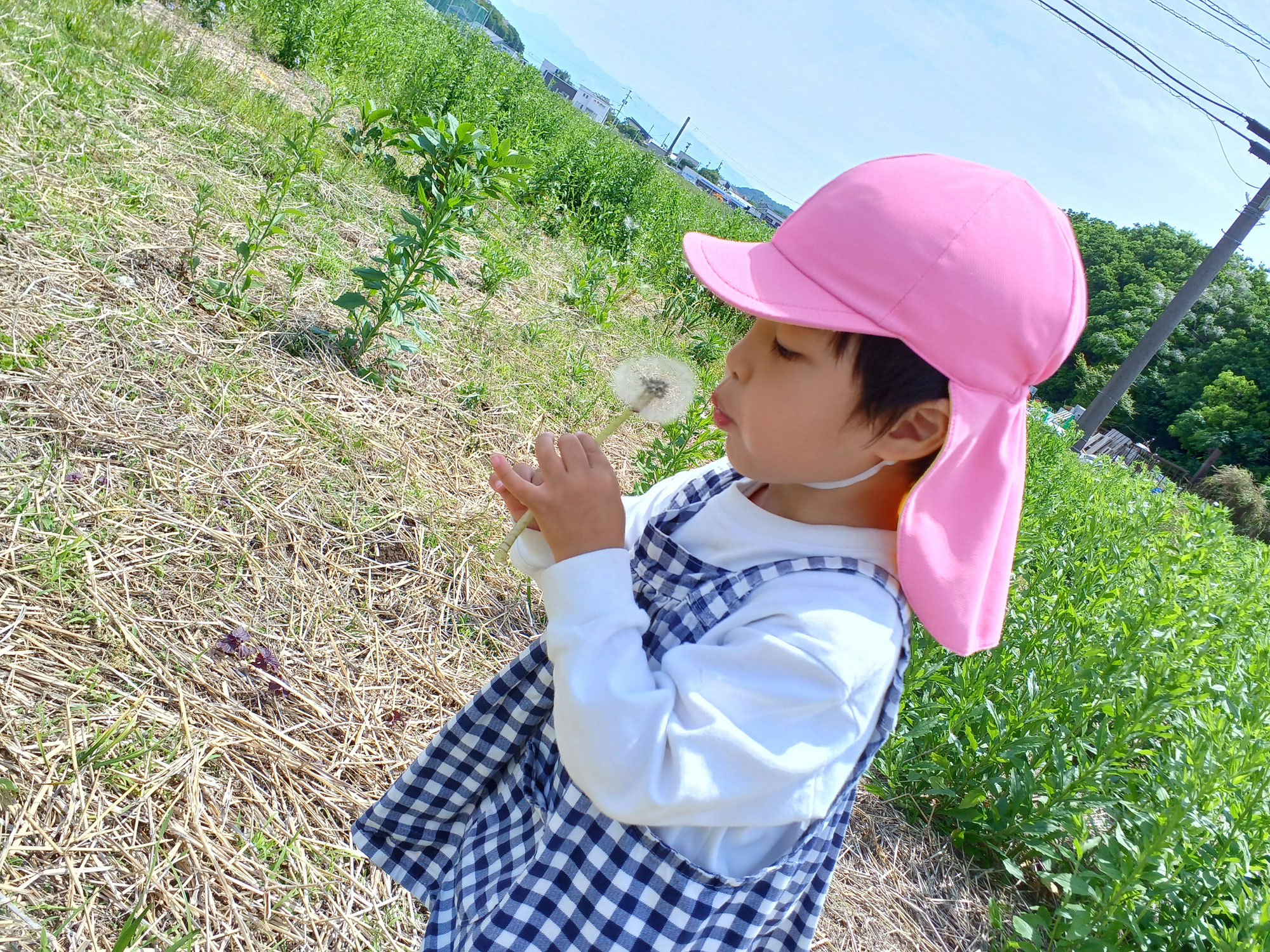 もくもく畑