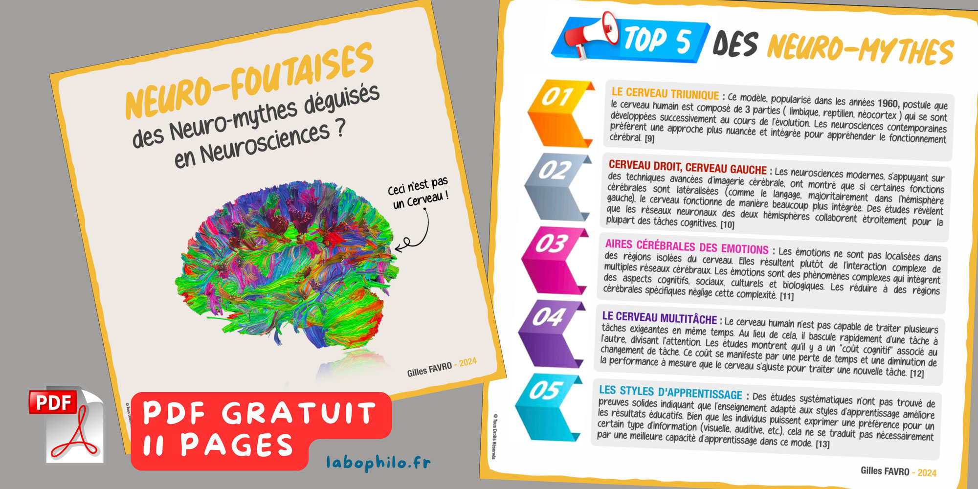 CERVEAU et NEURO-MYTHES: un PDF de 11 pages à télécharger pour les identifier