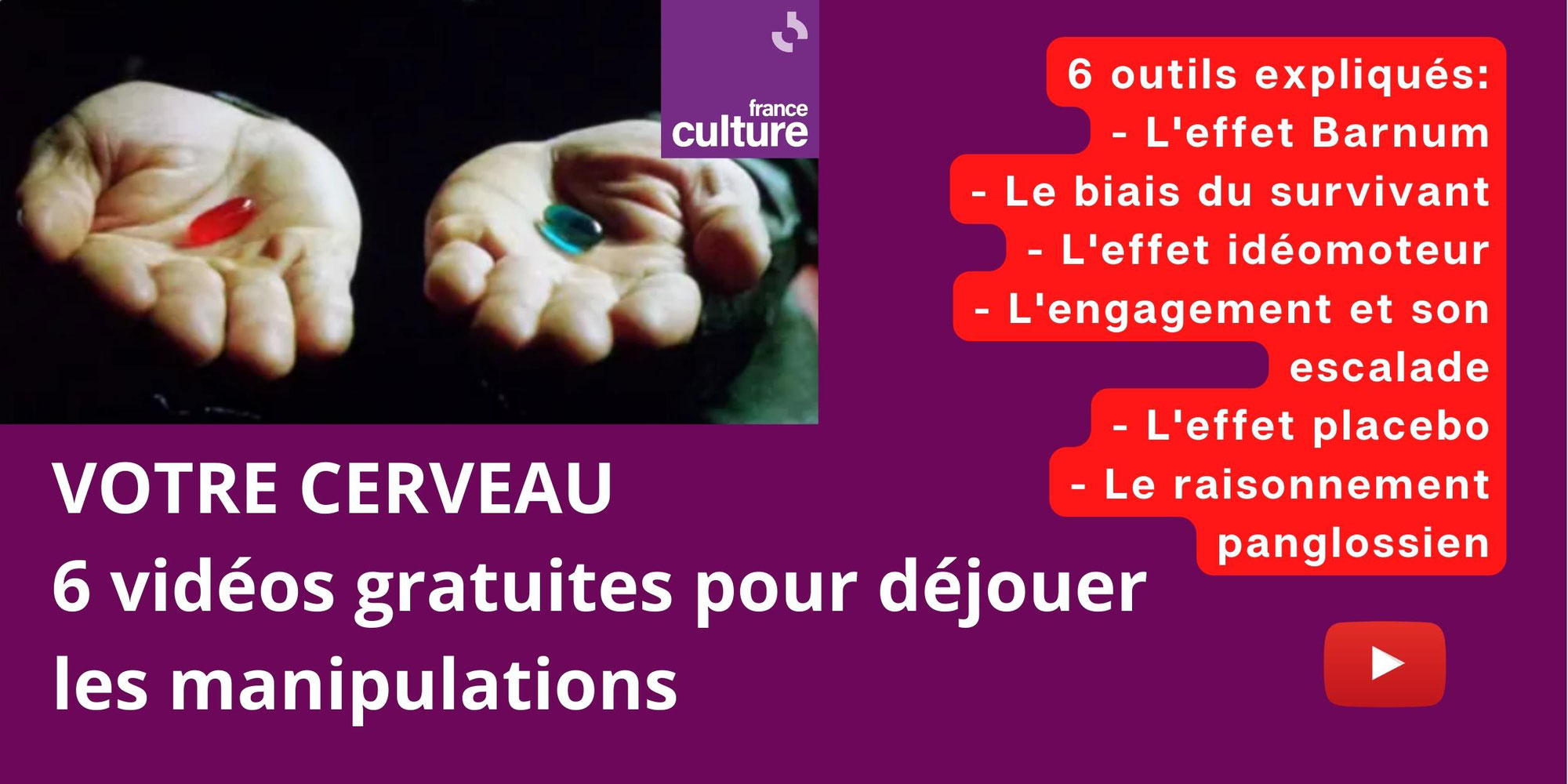 Déjouer les manipulations: 6 vidéos gratuites de 10 minutes pour comprendre VOTRE CERVEAU (FRANCE CULTURE)