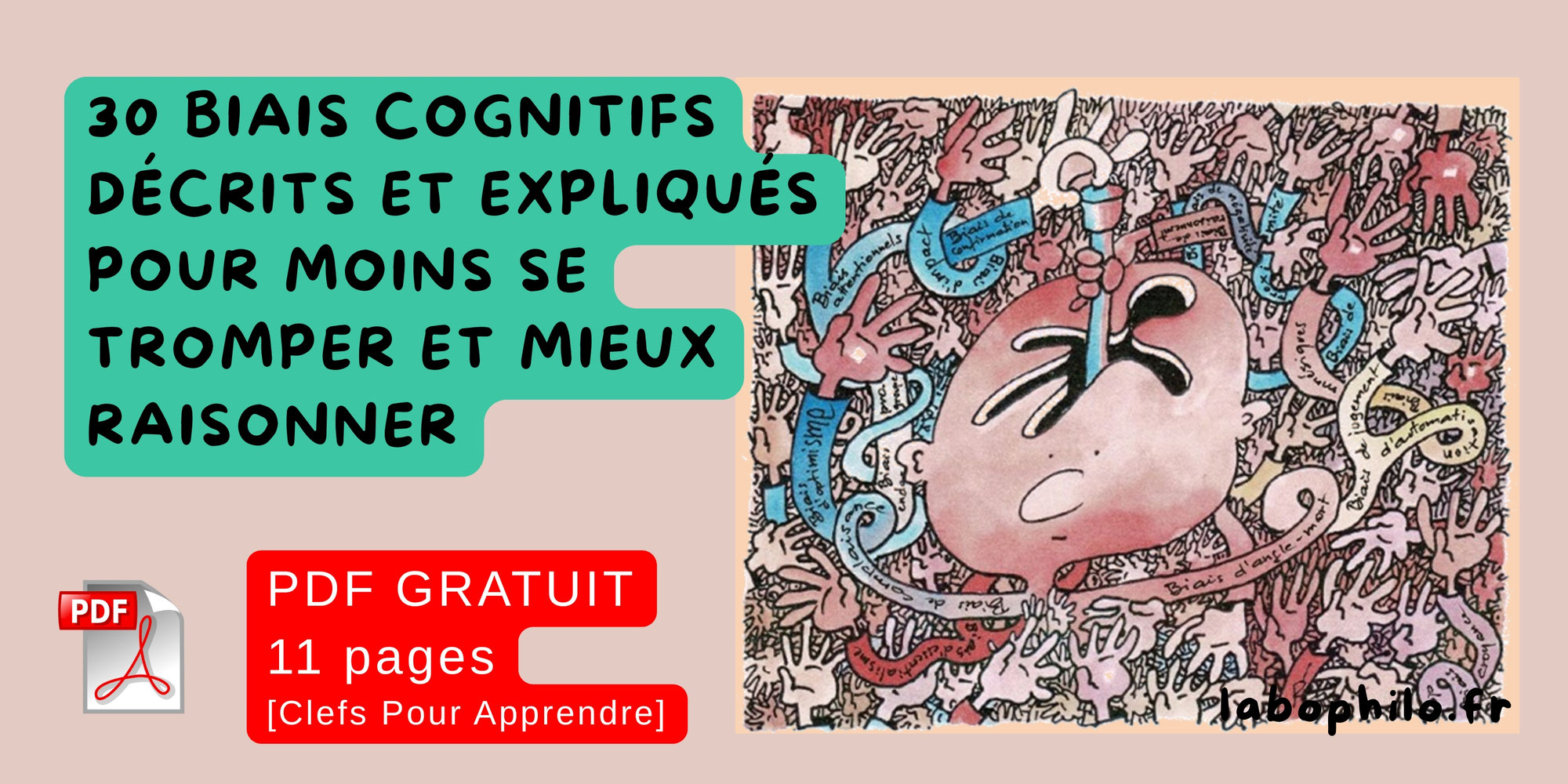 30 biais cognitifs décrits et expliqués  pour moins se tromper et mieux raisonner [PDF GRATUIT - Clefs Pour Apprendre]
