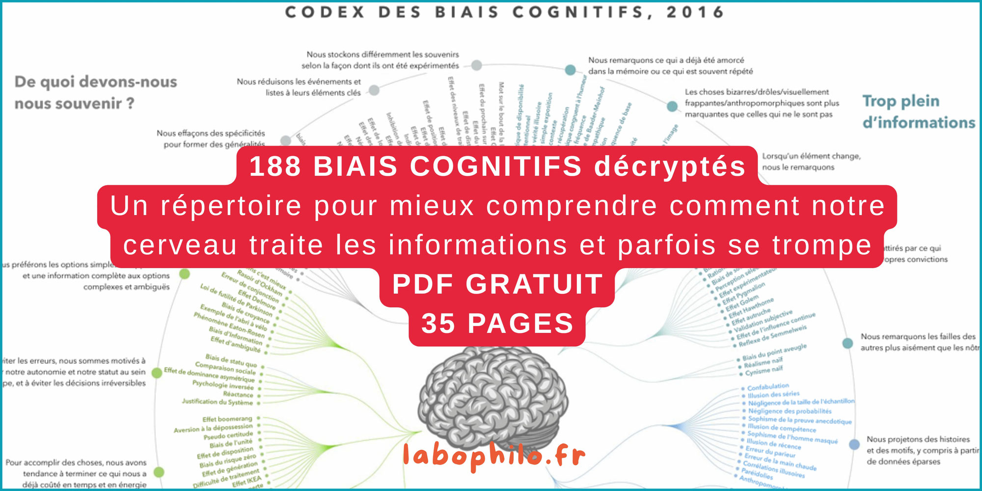 188 BIAIS COGNITIFS décryptés: un PDF gratuit de 35 pages pour mieux comprendre comment notre cerveau traite les informations et parfois se trompe