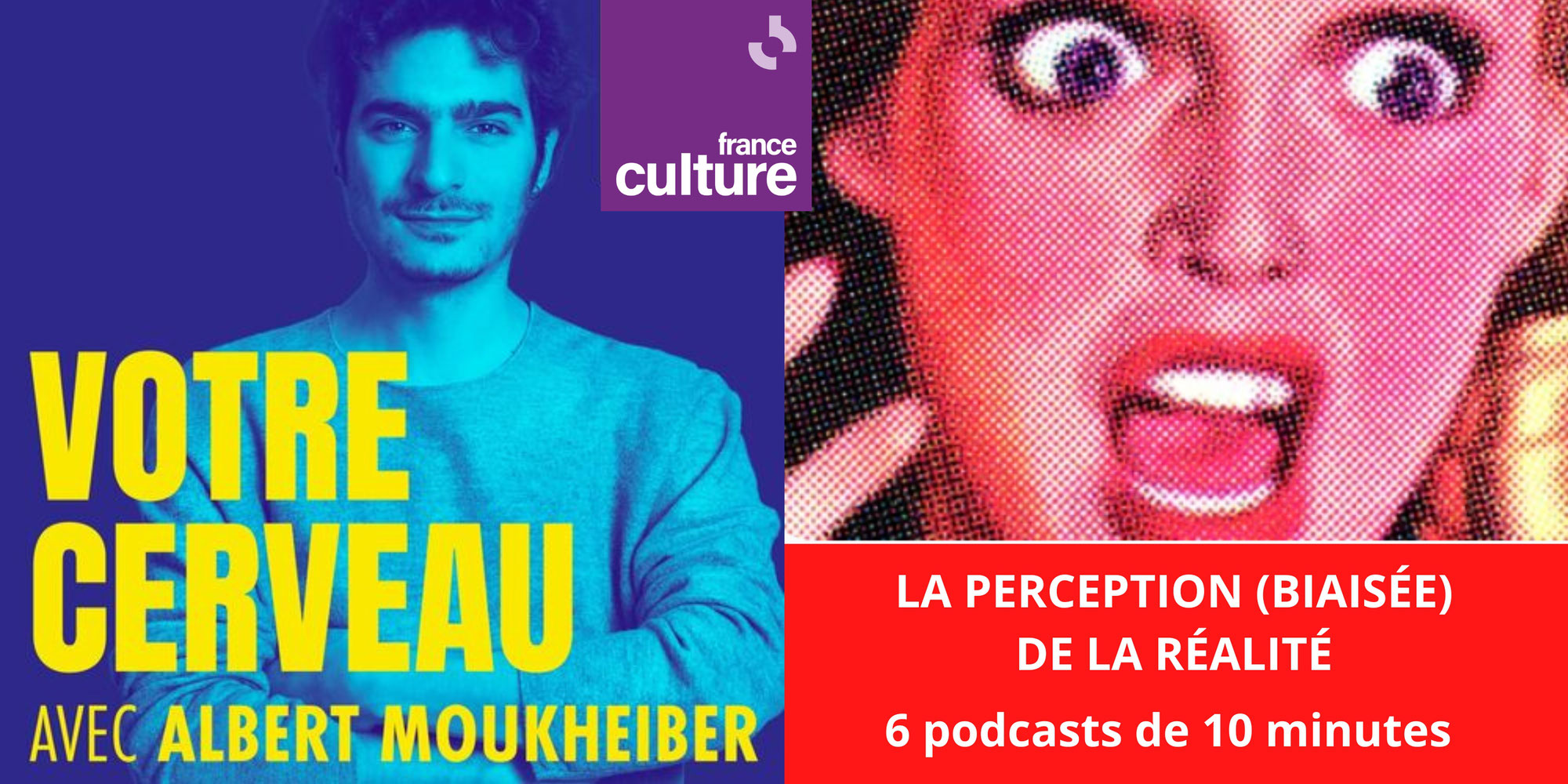 Comprendre votre cerveau avec Albert MOUKHEIBER: la perception (biaisée) de la réalité. 6 podcasts gratuits de 10 minutes (FRANCE CULTURE)