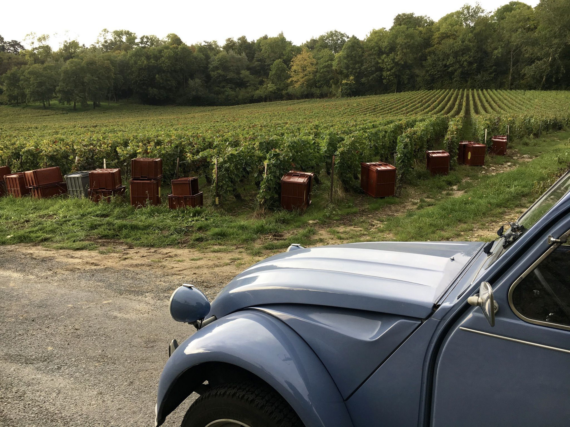 Rallye 2 CV dans les vignobles bordelais