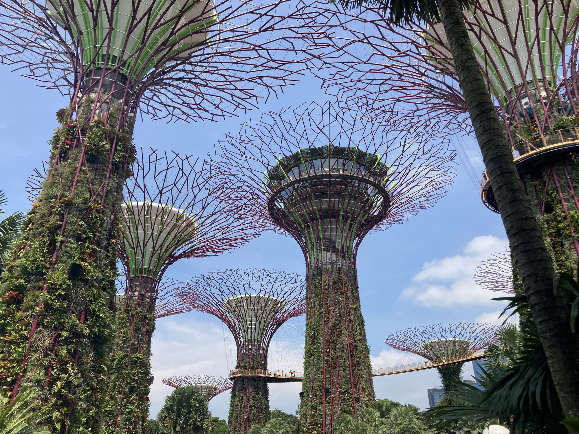 シンガポール旅行記その1