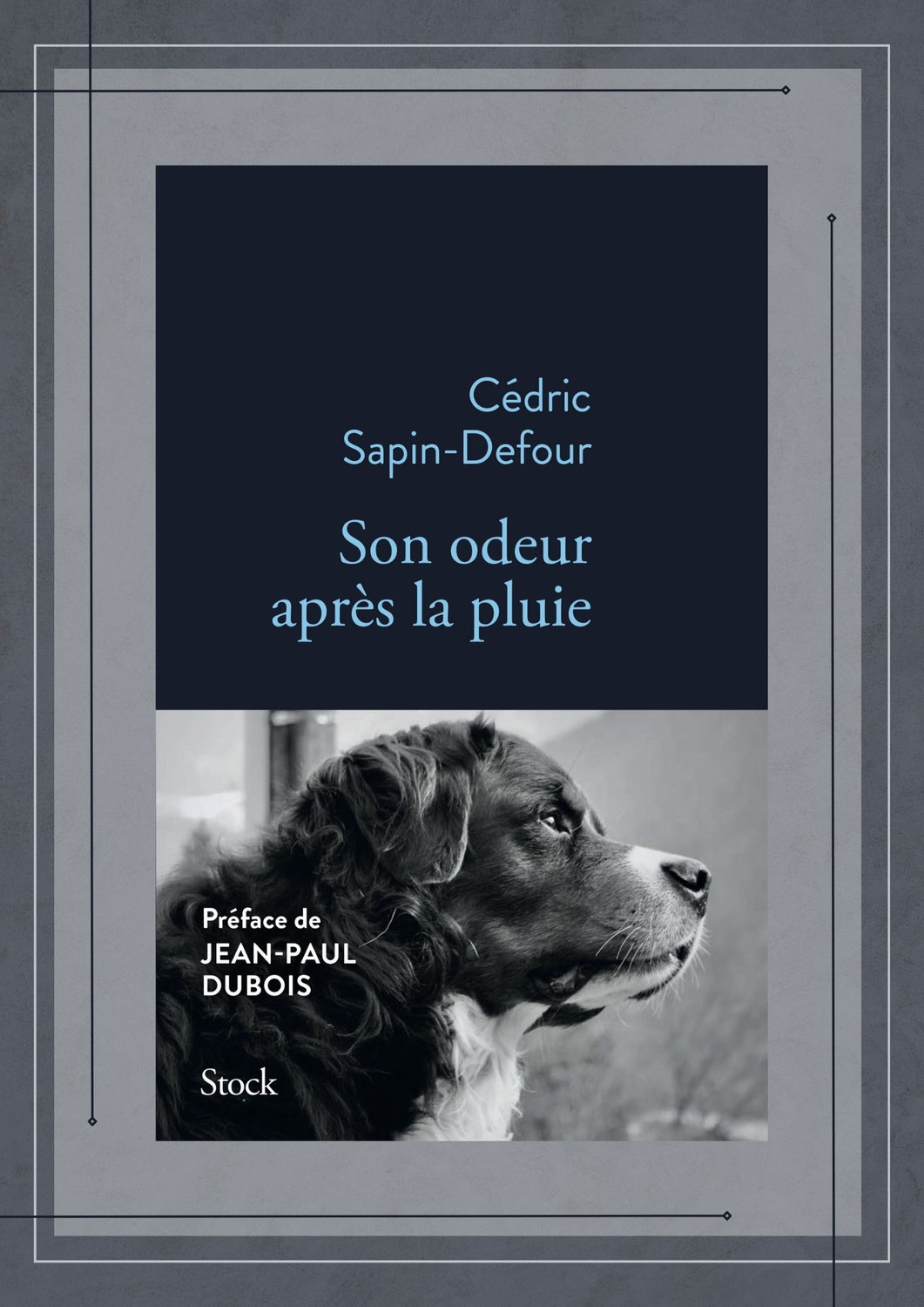 Son odeur après la pluie, Cédric Sapin-Defour, Stock