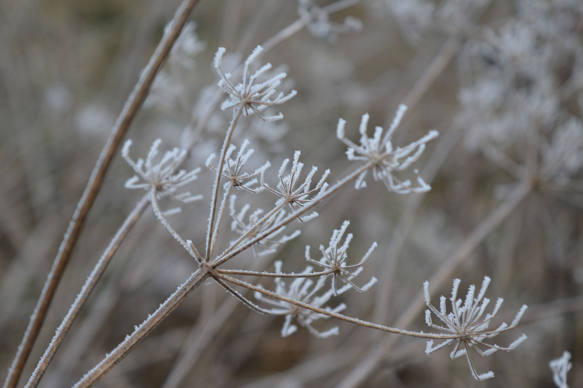 À propos de moi Site de brecheteaua