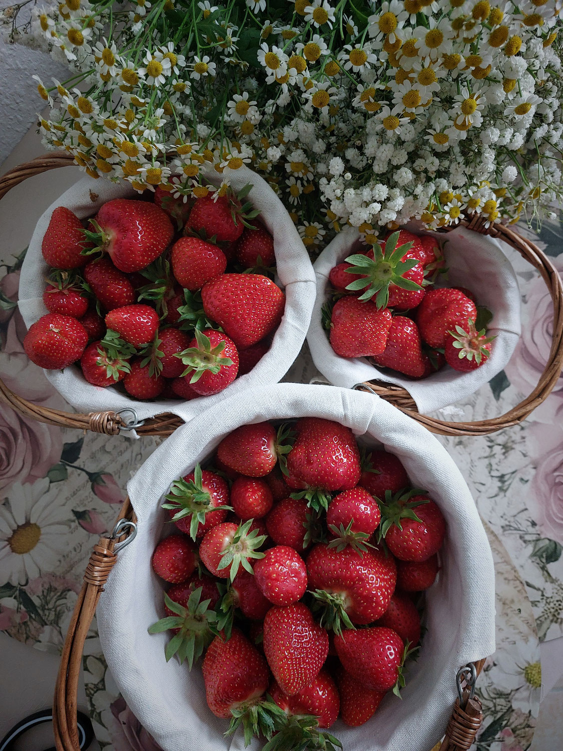 Erdbeersaison!