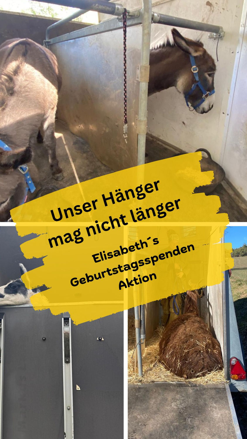 Unser Hänger kann nicht mehr....