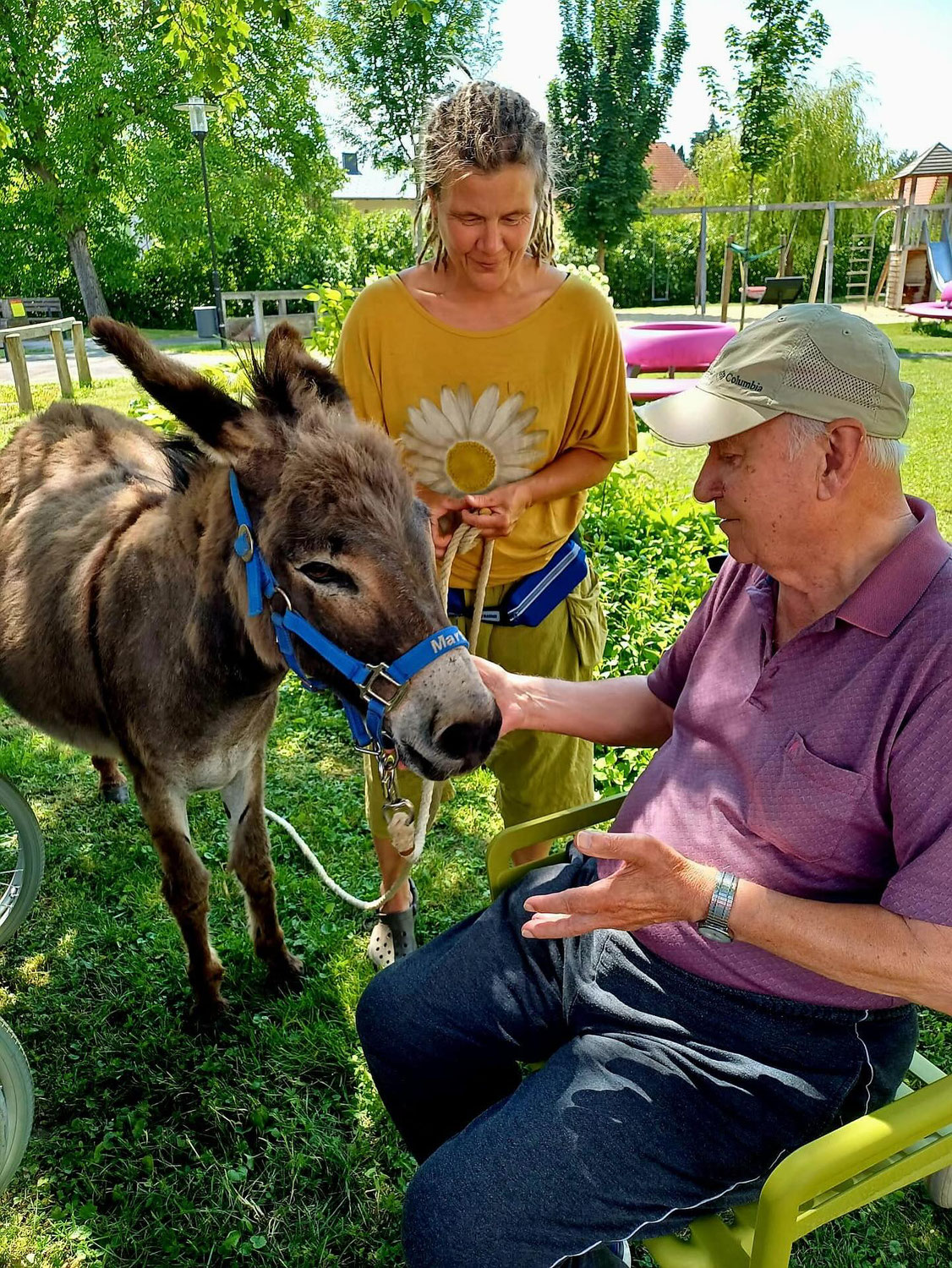 Wenn zwei kleine Esel großes bewirken
