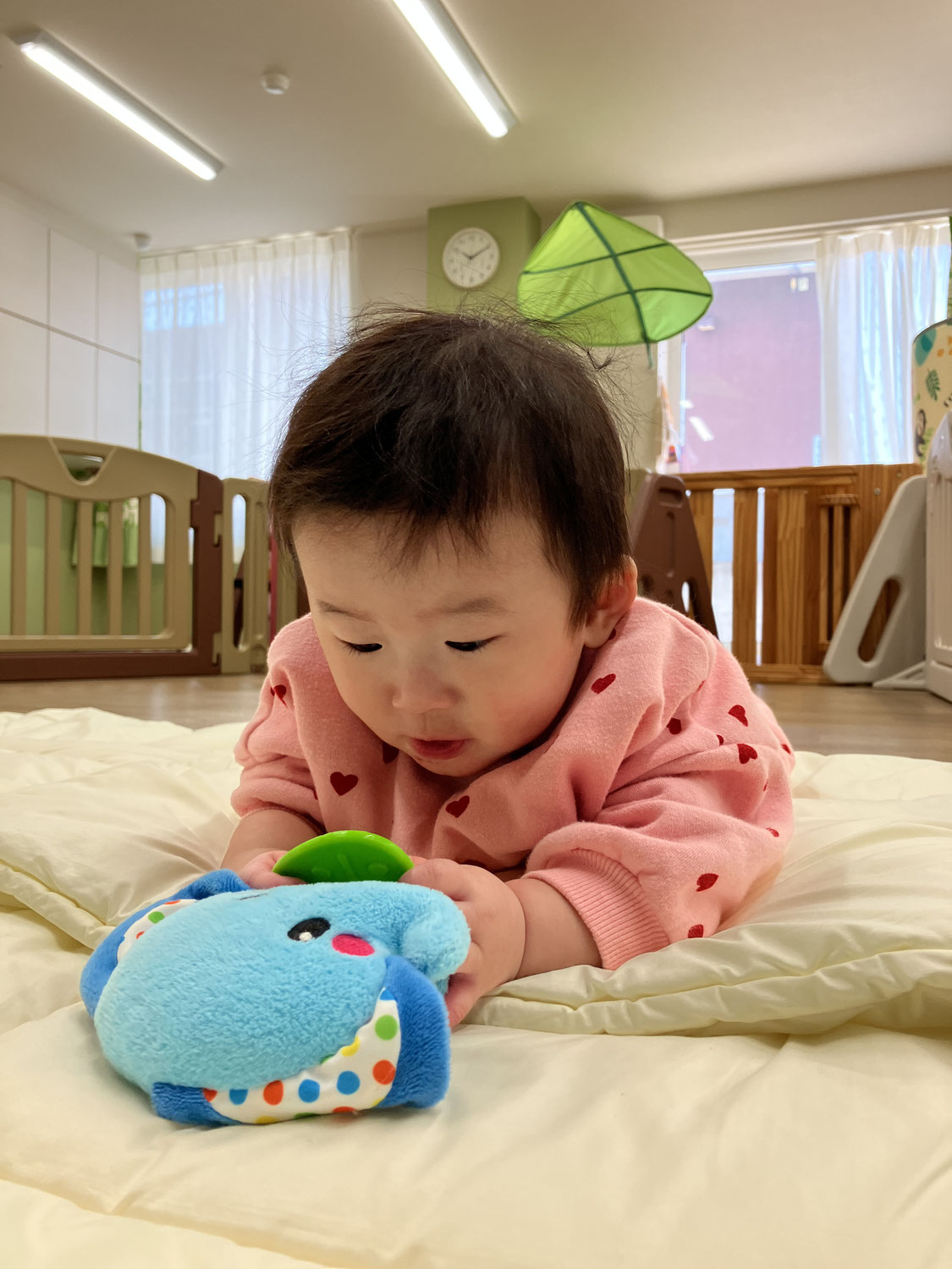 入園おめでとう