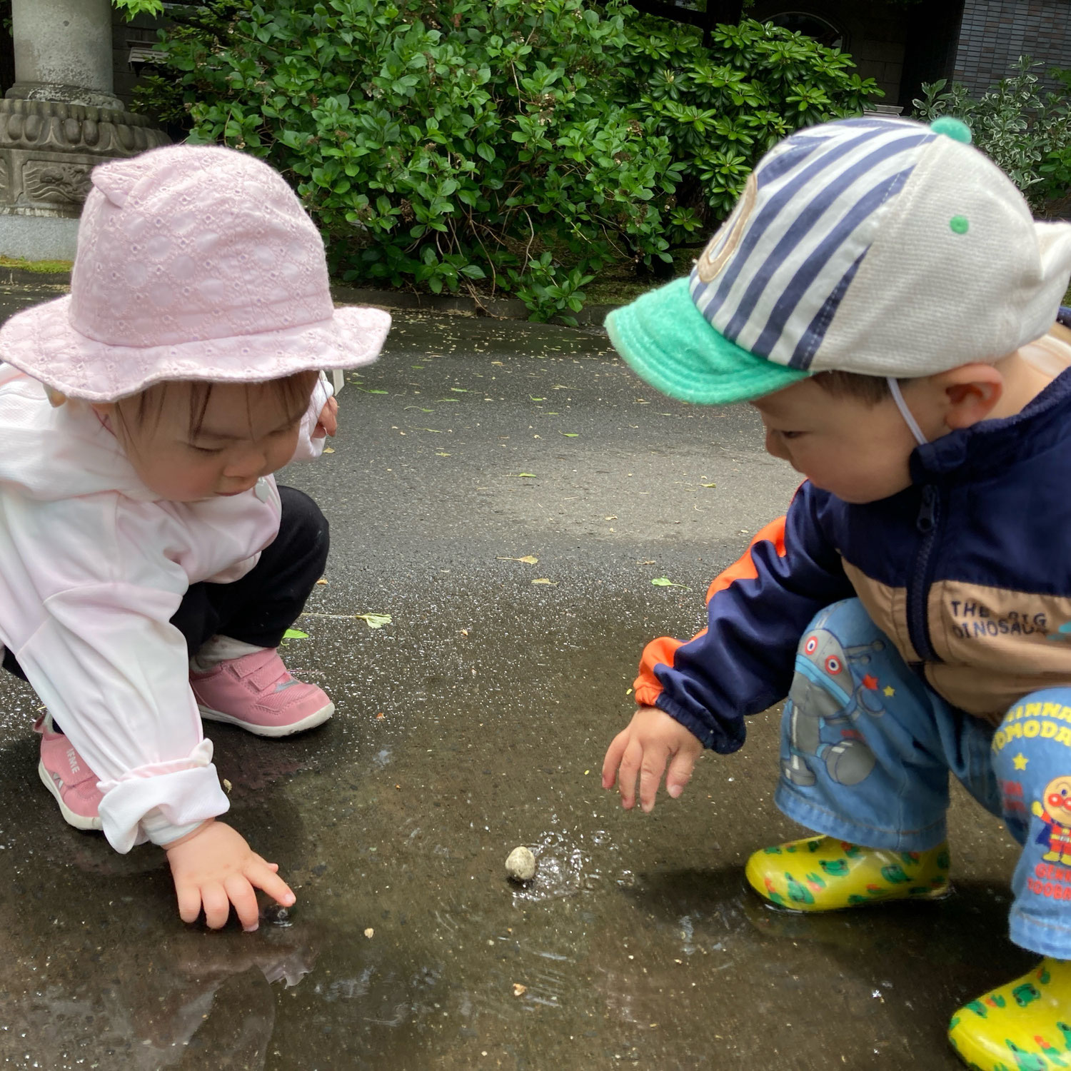触ってみたい☆