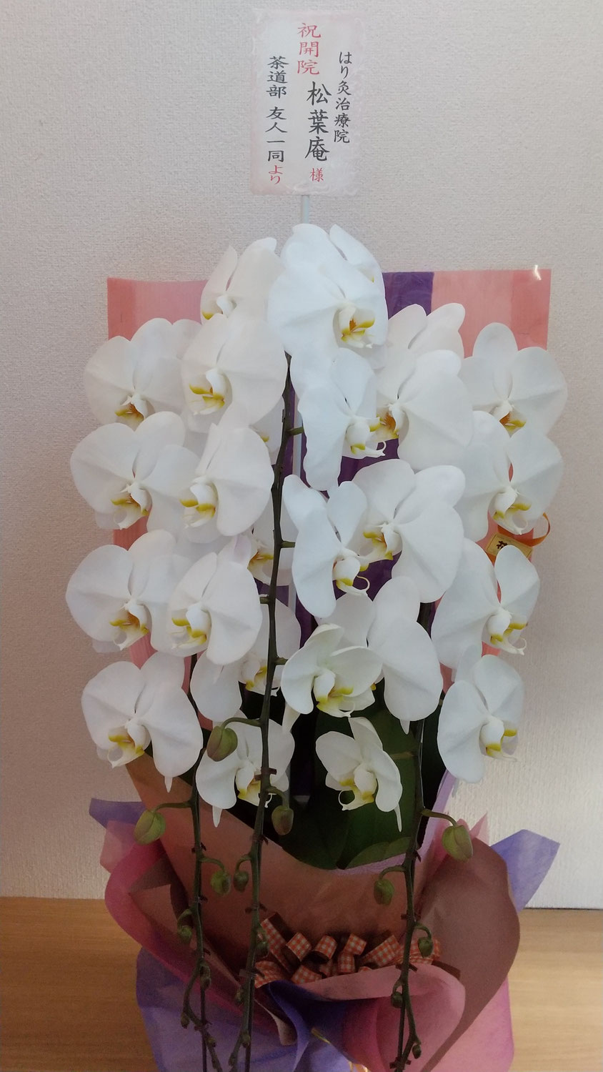 お花③