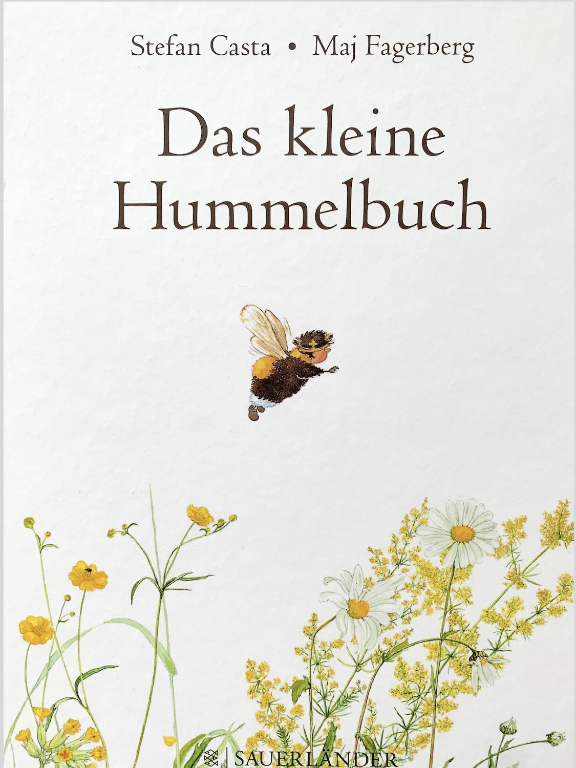 Buchtipp: Das kleine Hummelbuch