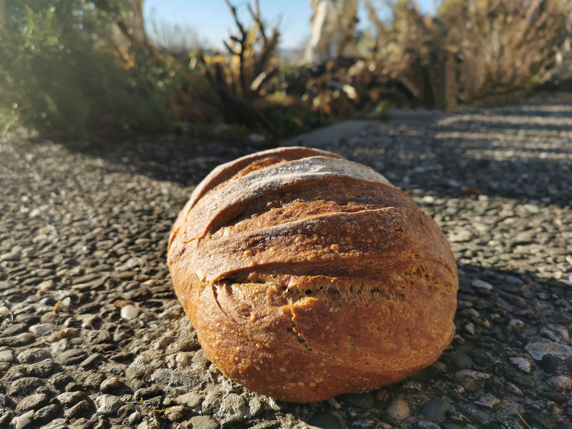 Das süsseste Brot der Welt (Griechenland)