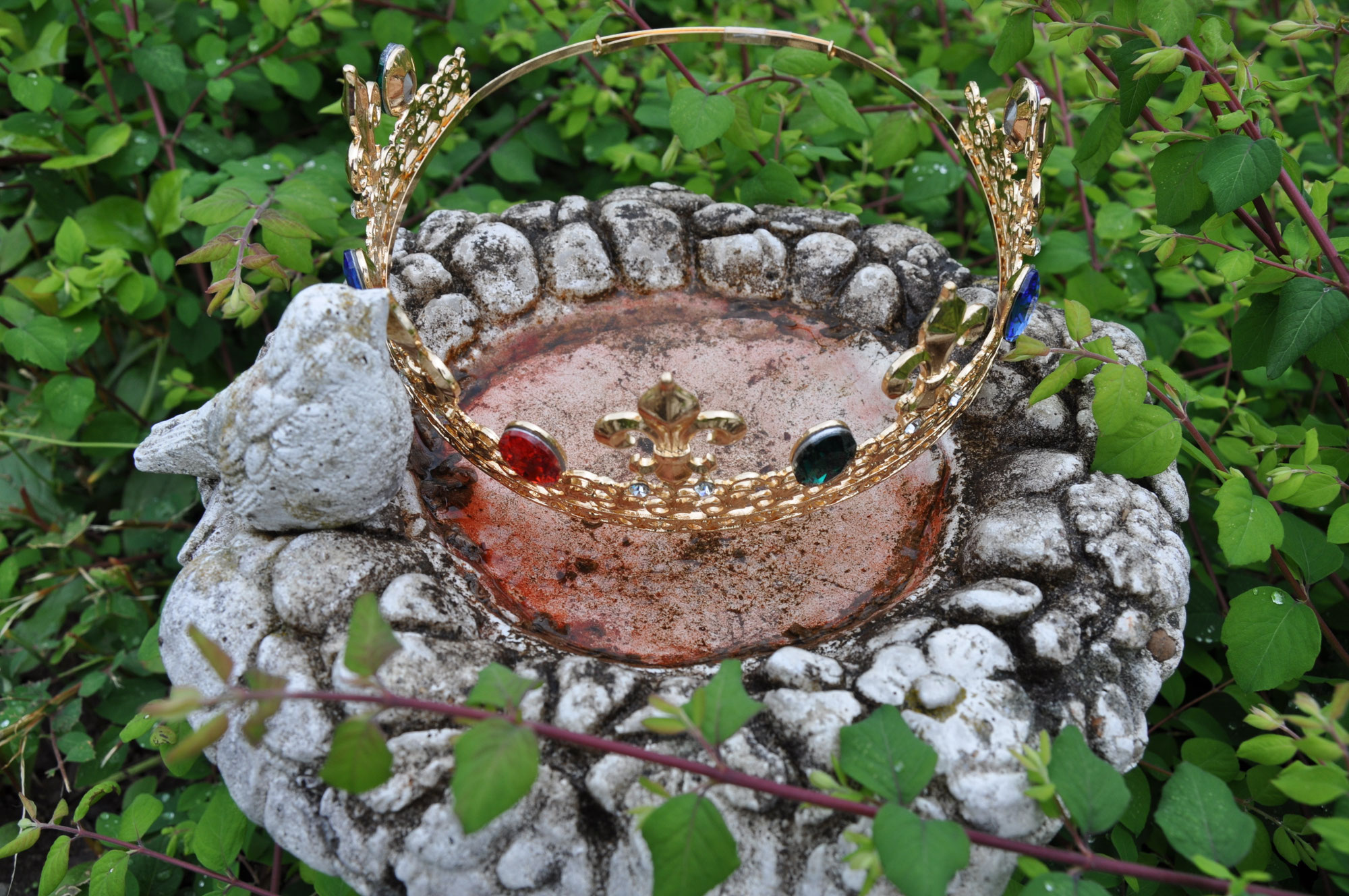 Das Heilwasser (verfasst von Nicole Krähenmann)