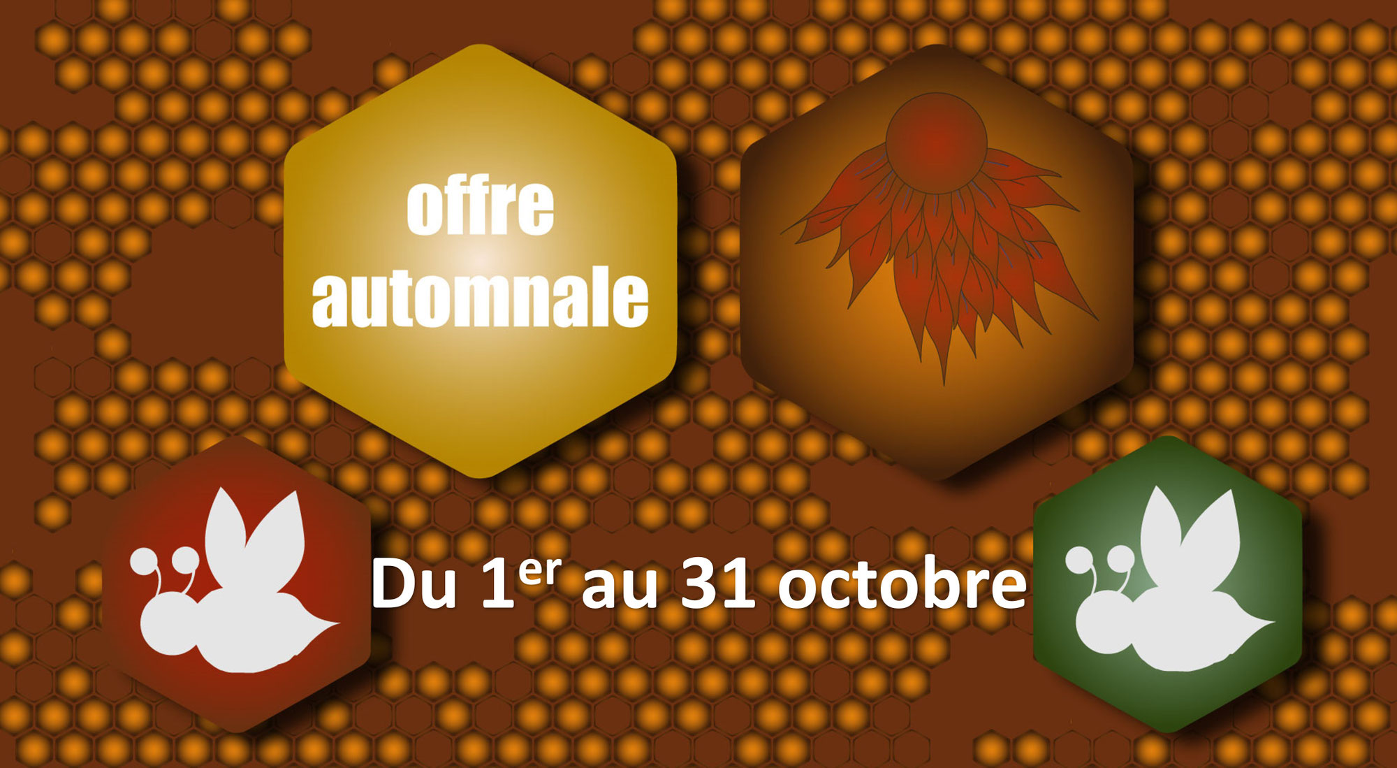 Promo d'automne