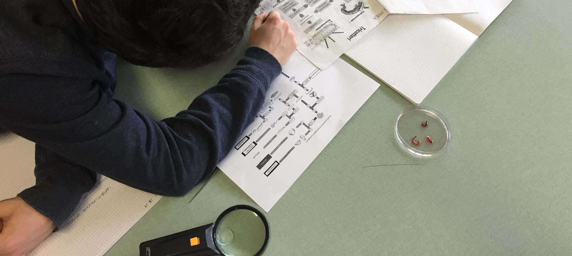 10 anni di Educazione Ambientale sul fiume Lambro - Caratteristiche ecologiche