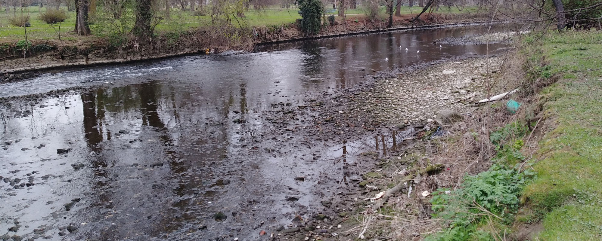 Educazione ambientale sul Fiume Lambro - record per la comunità biologica