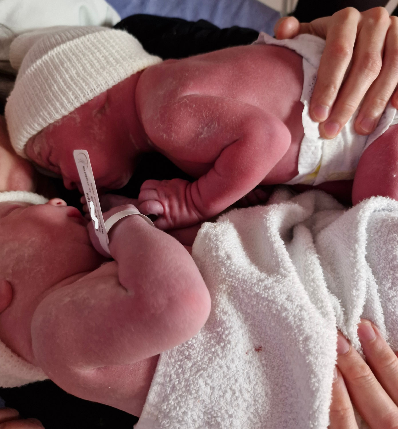 Léon et Louis, une arrivé à 2 !