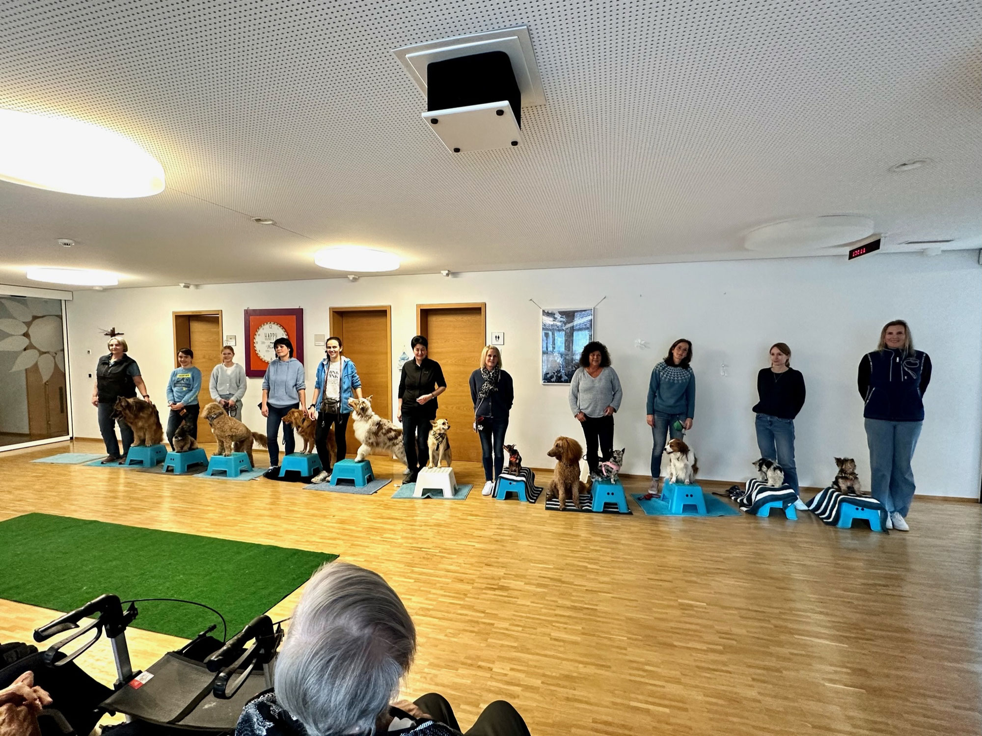 12 Hunde der Hundeschule Mit Herz und Hund besuchen das Altersheim in Steg.