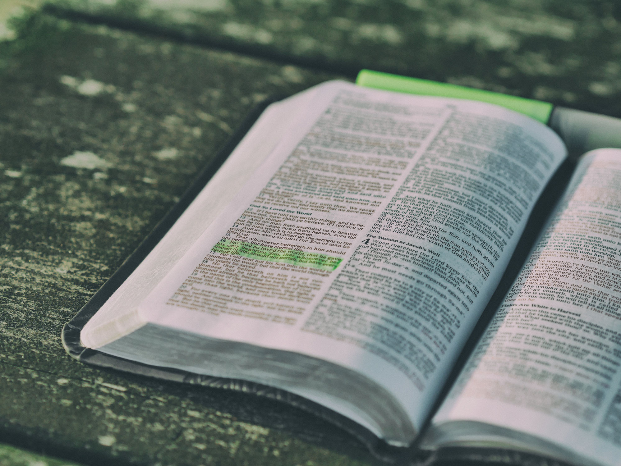 Klein, aber oho! Das Zwölprophetenbuch des Alten Testaments