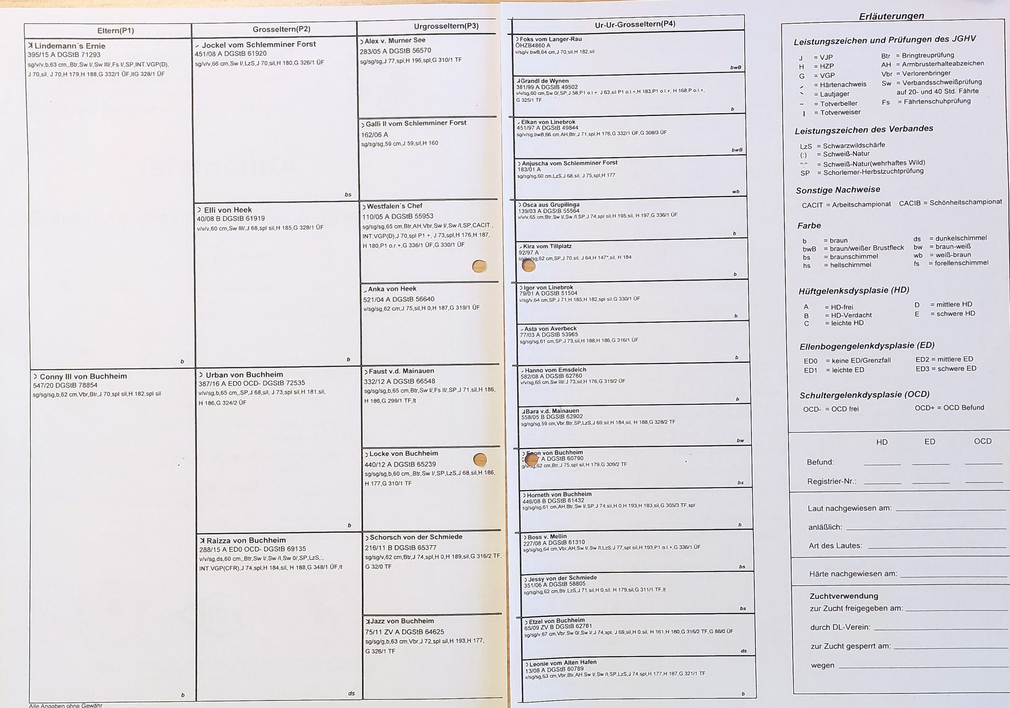 Test-Ahnentafel