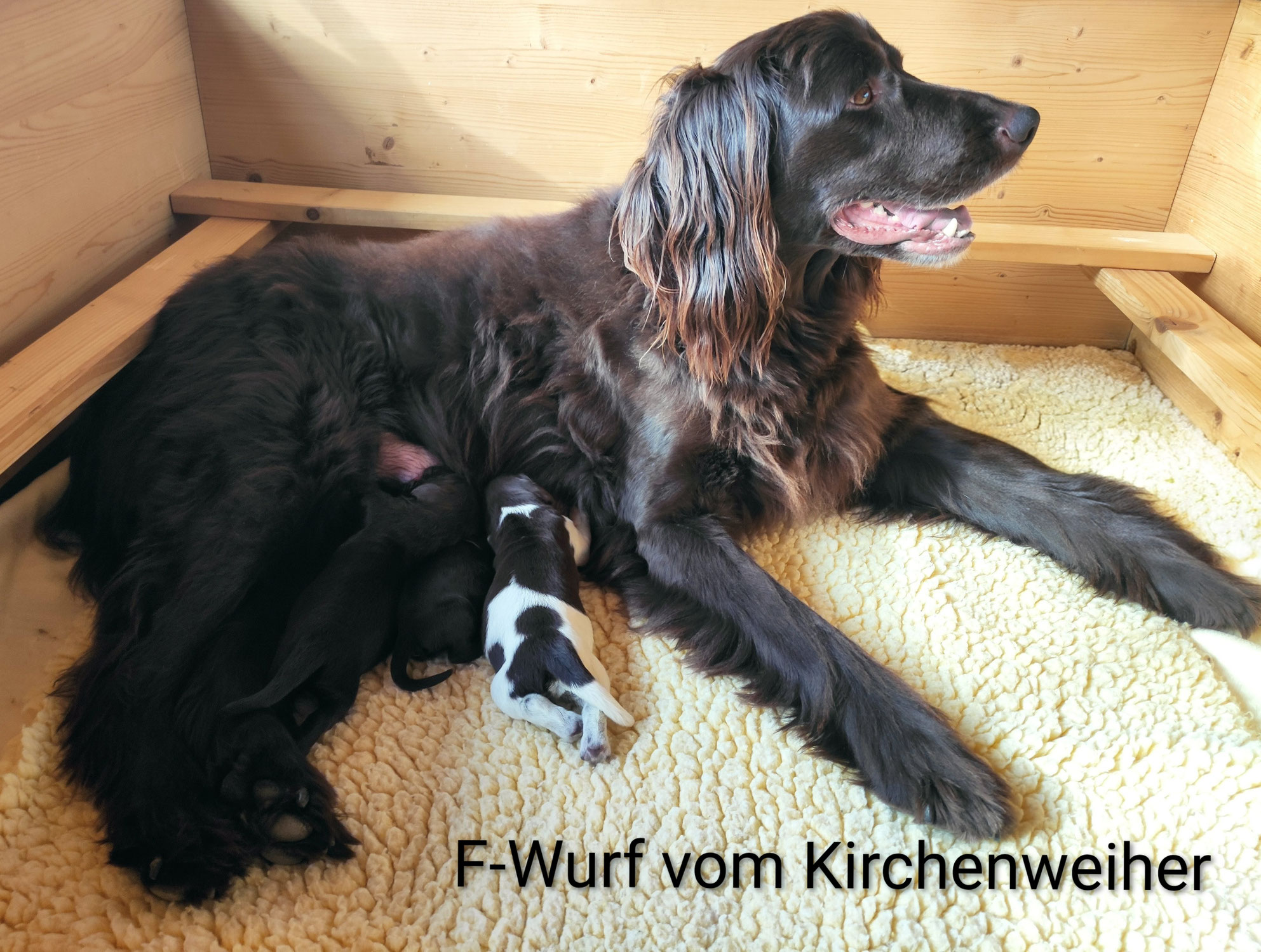 Unser Trio