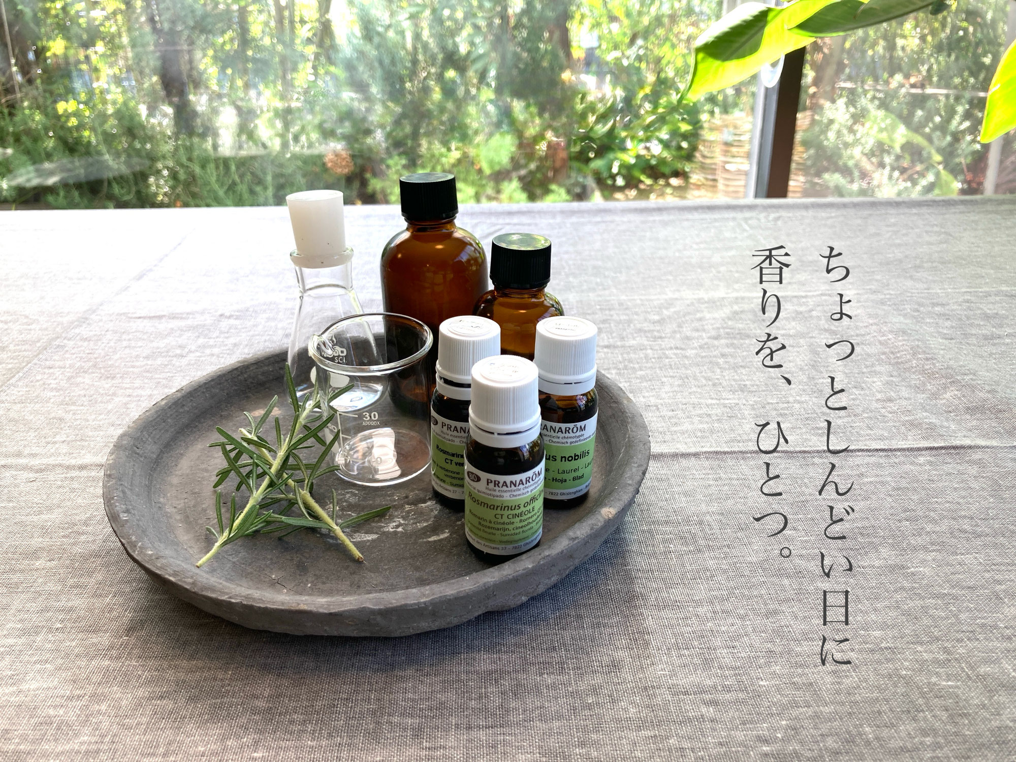 新生活で疲れた時に、そっと頼れる香りの話