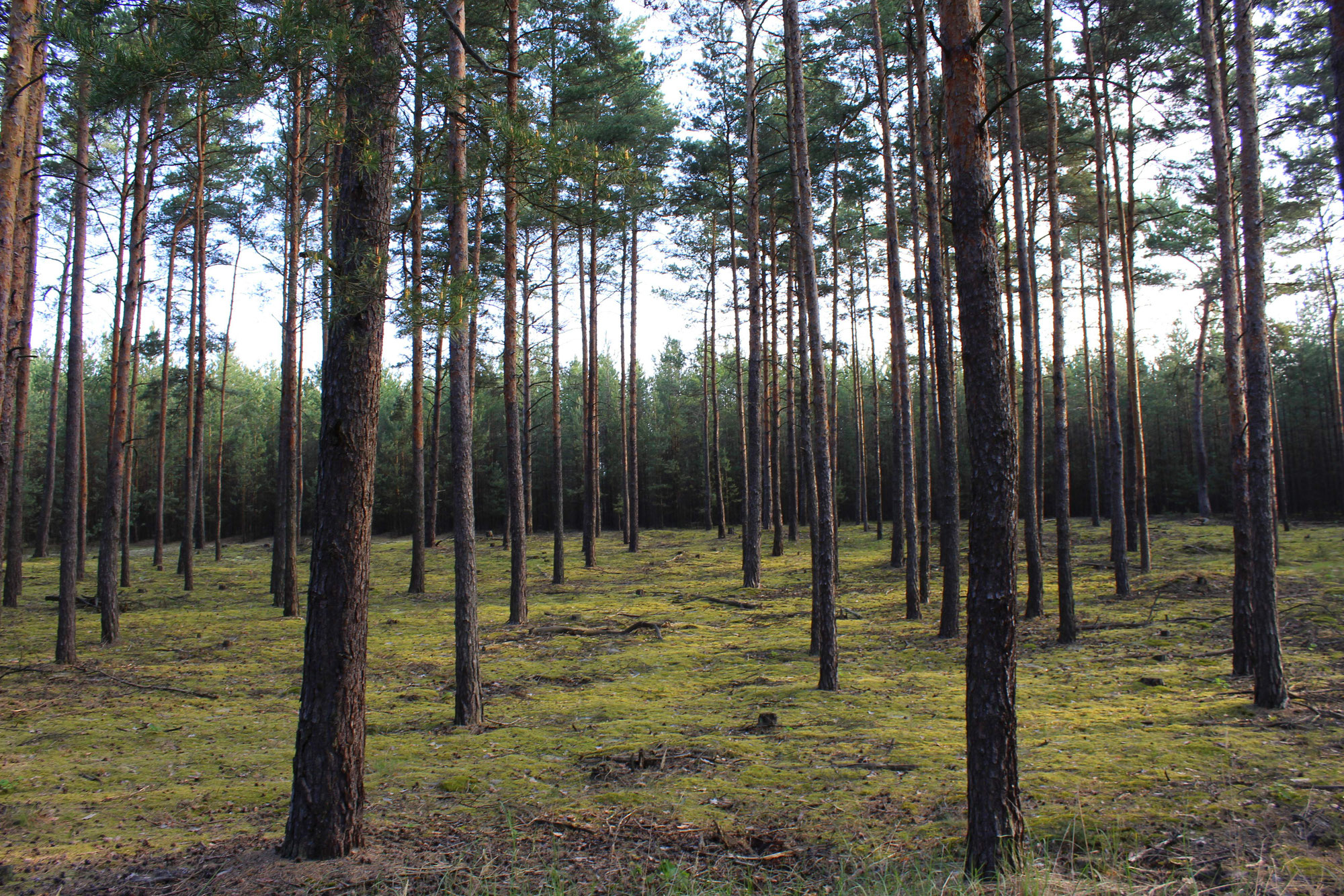 Bekanntschaften oberhavel
