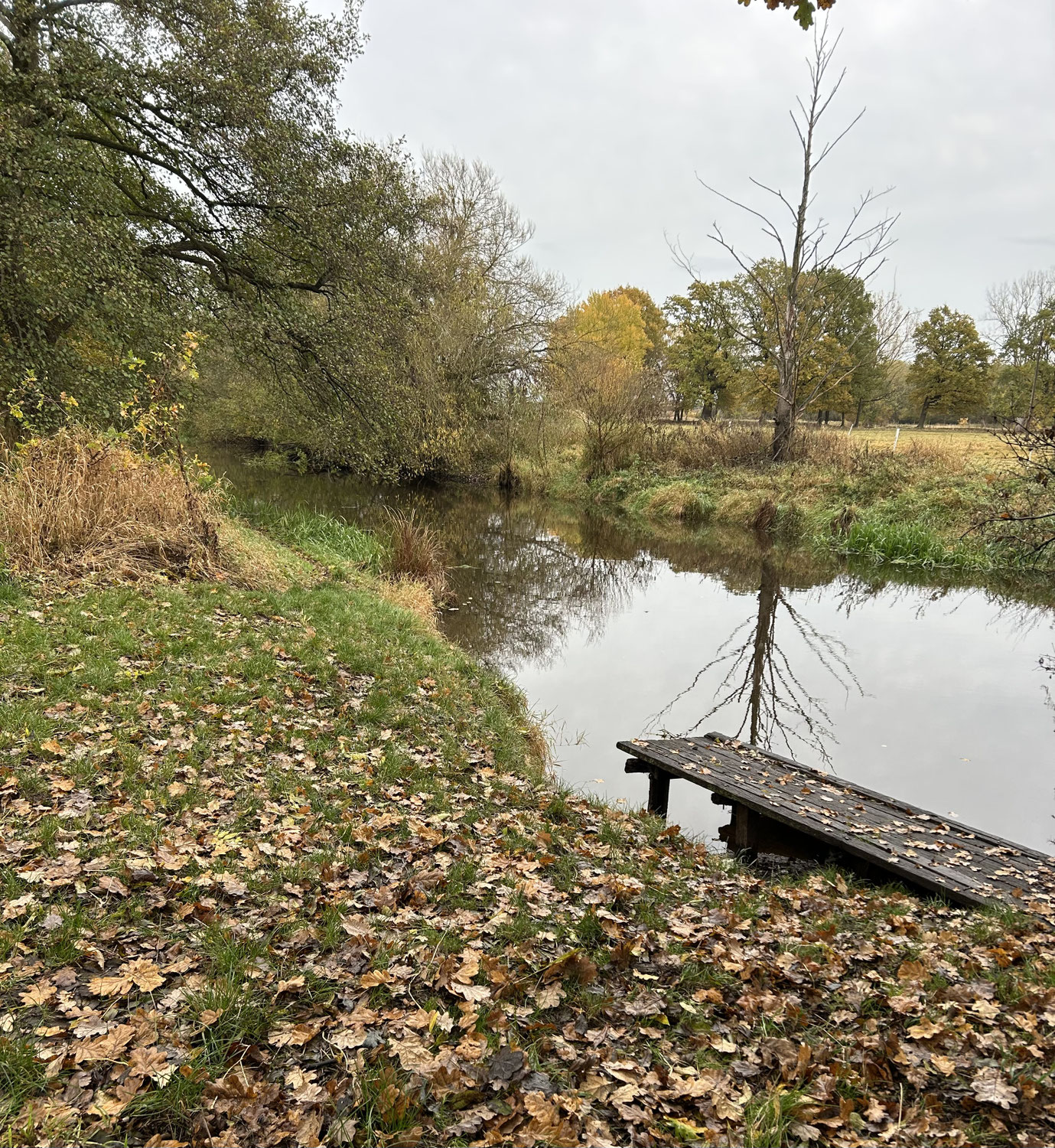 Hallo Kästorf